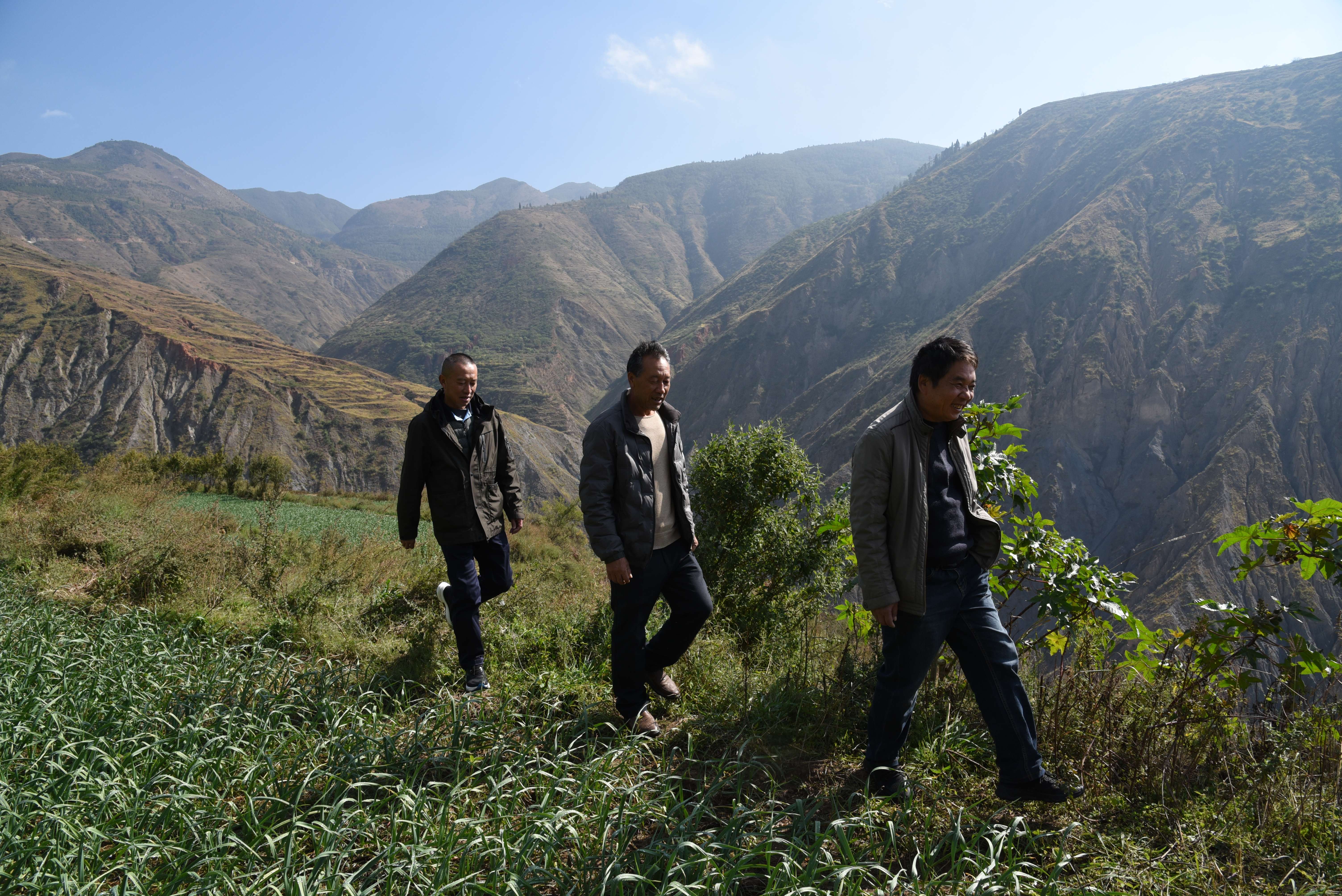 今年的冬早蔬菜上市啦！——曲靖卷烟厂帮扶会泽县温泉村侧记