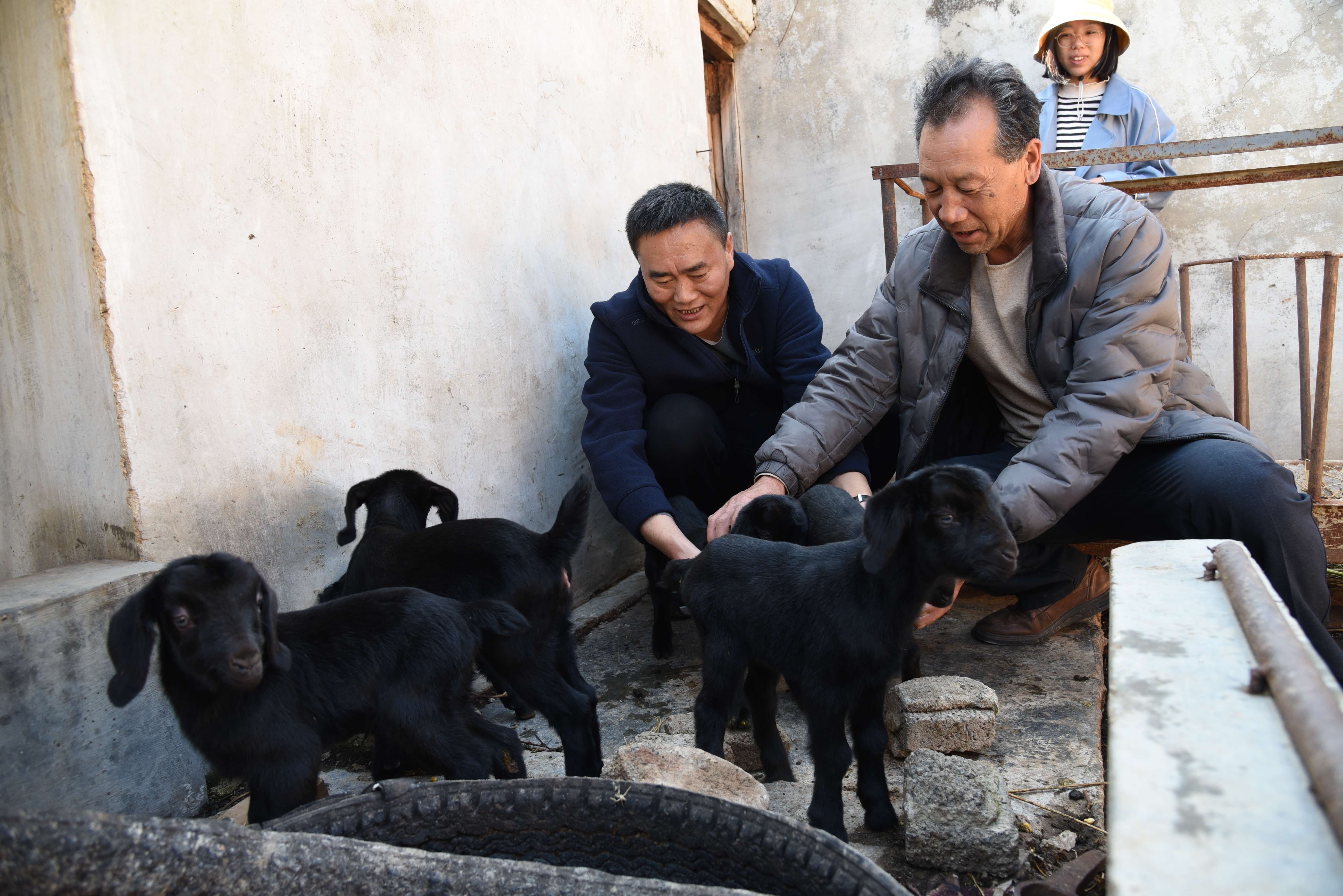 今年的冬早蔬菜上市啦！——曲靖卷烟厂帮扶会泽县温泉村侧记