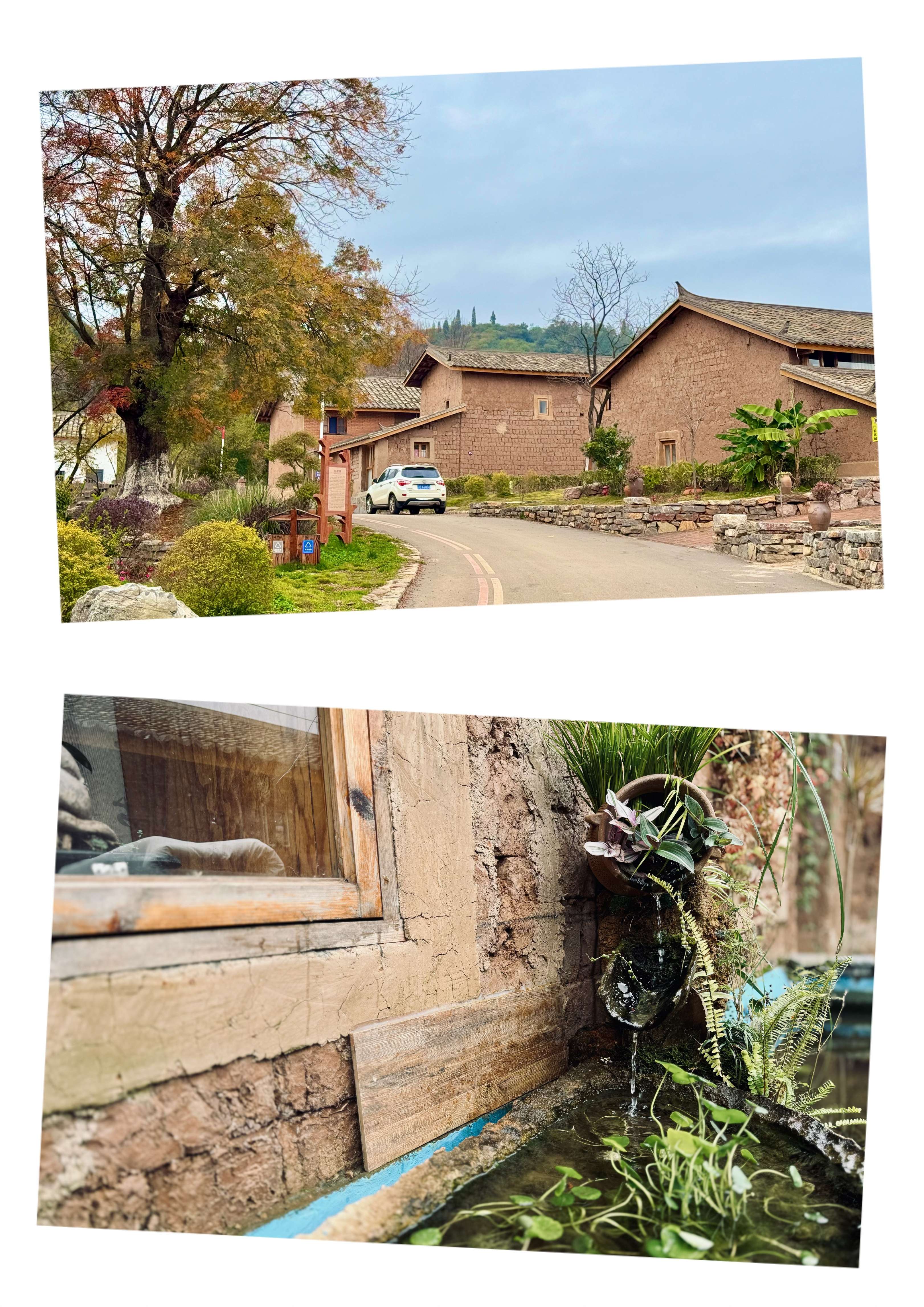 聚力曲靖“五张名片”｜逃离都市，我在红瓦房村找到了向往的生活！