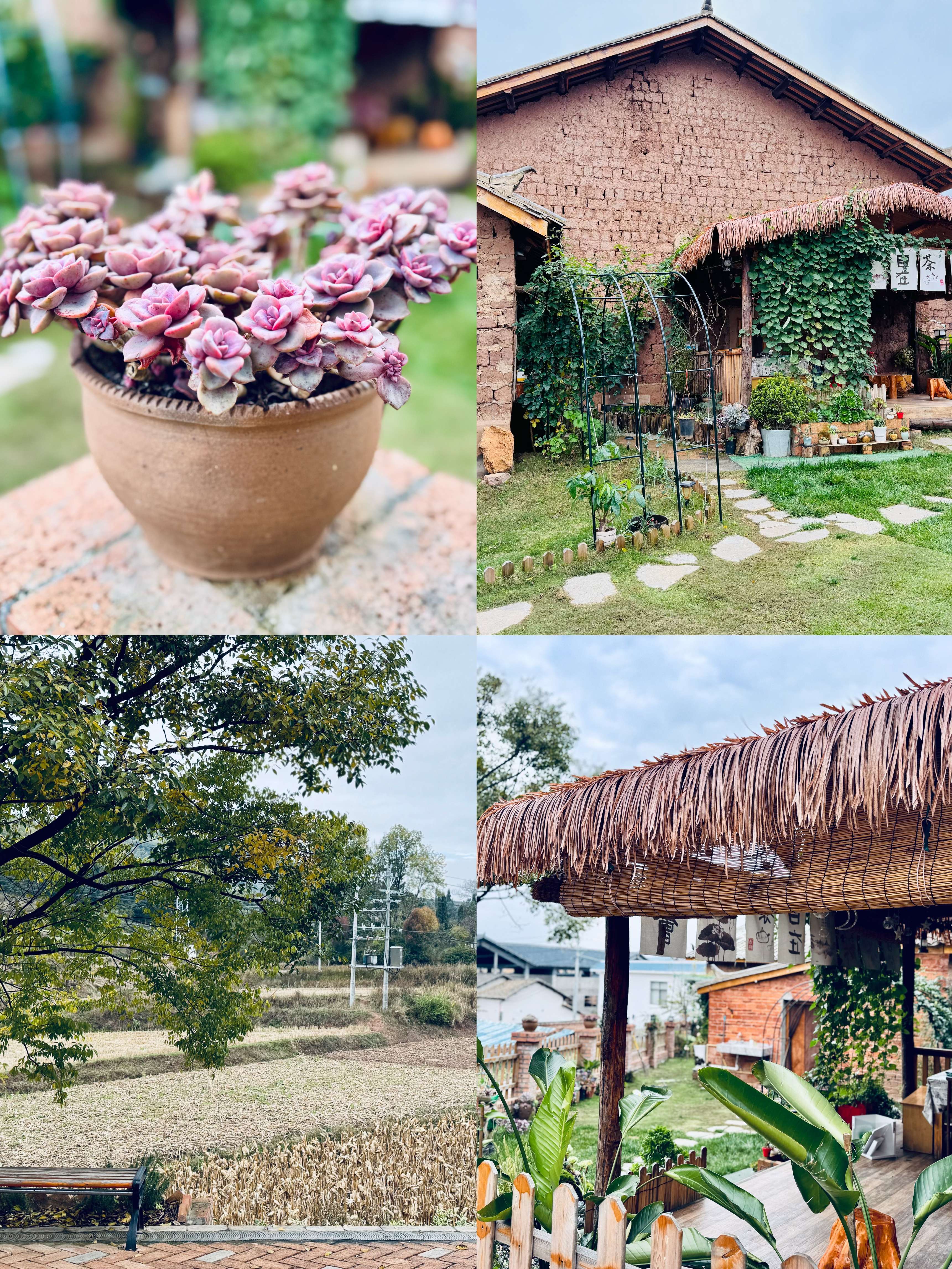 聚力曲靖“五张名片”｜逃离都市，我在红瓦房村找到了向往的生活！