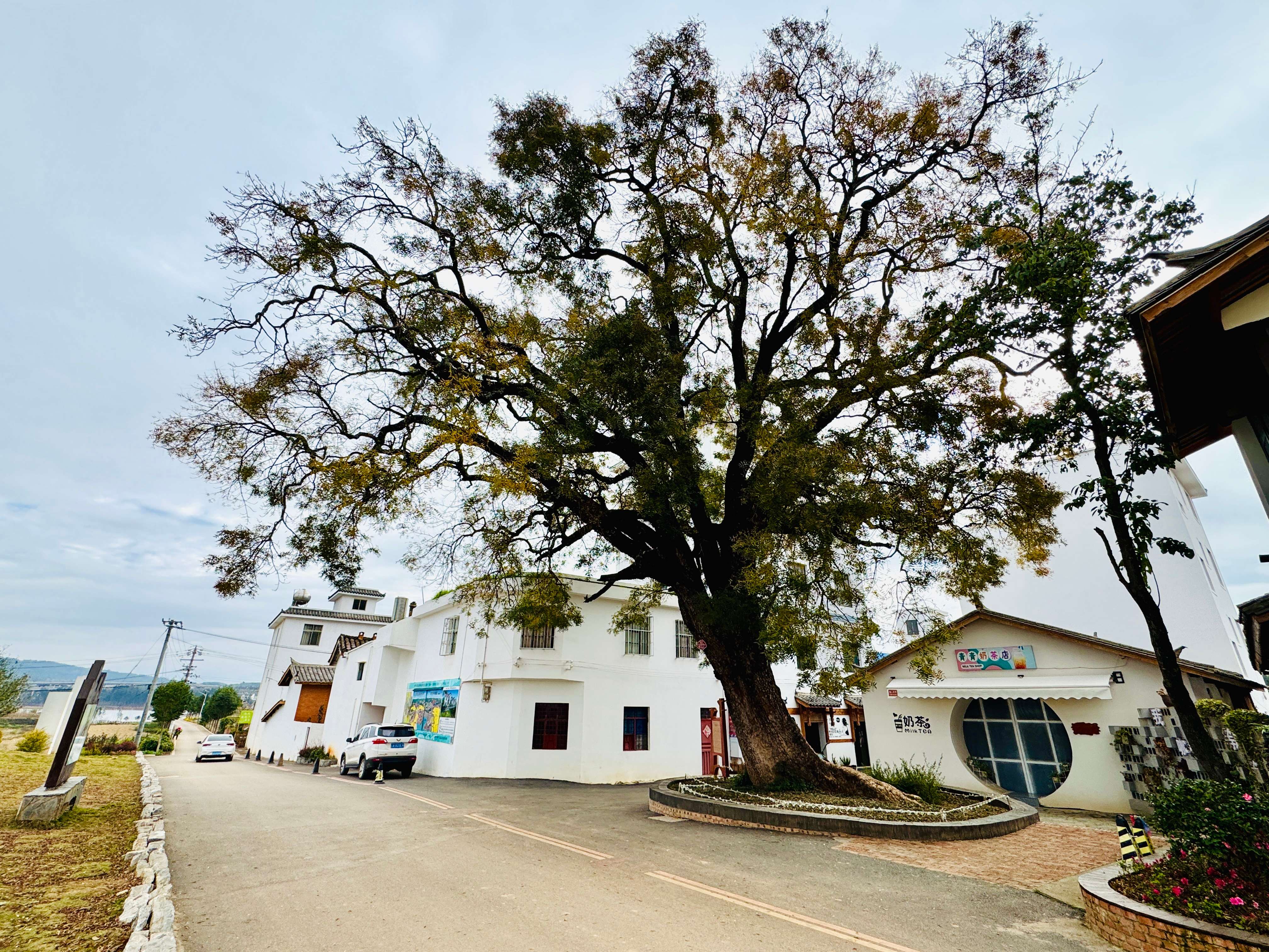 聚力曲靖“五张名片”｜逃离都市，我在红瓦房村找到了向往的生活！