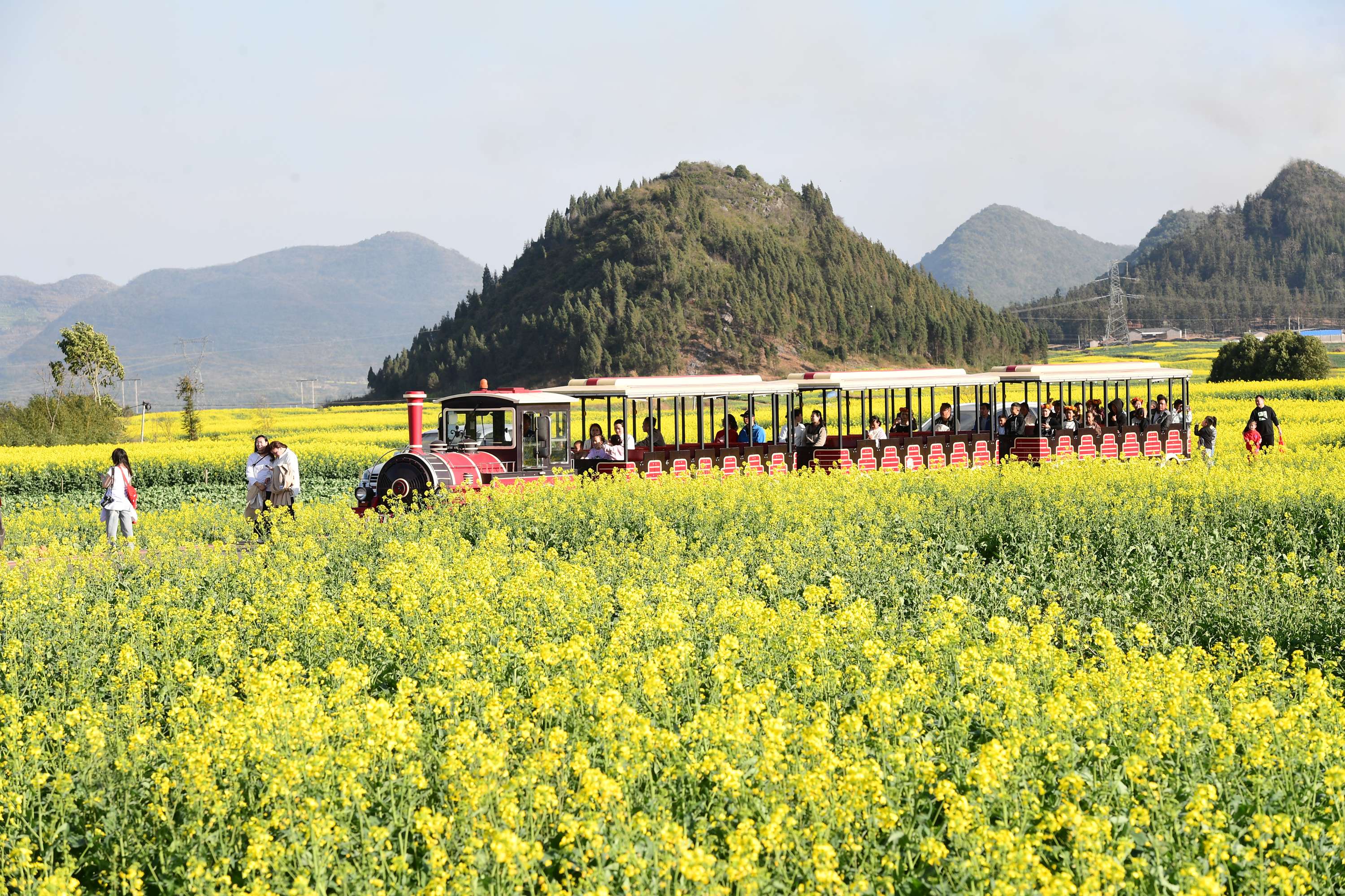 聚力曲靖“五张名片”丨叮！您有一封来自“世界最大的自然天成花园”的邀请函