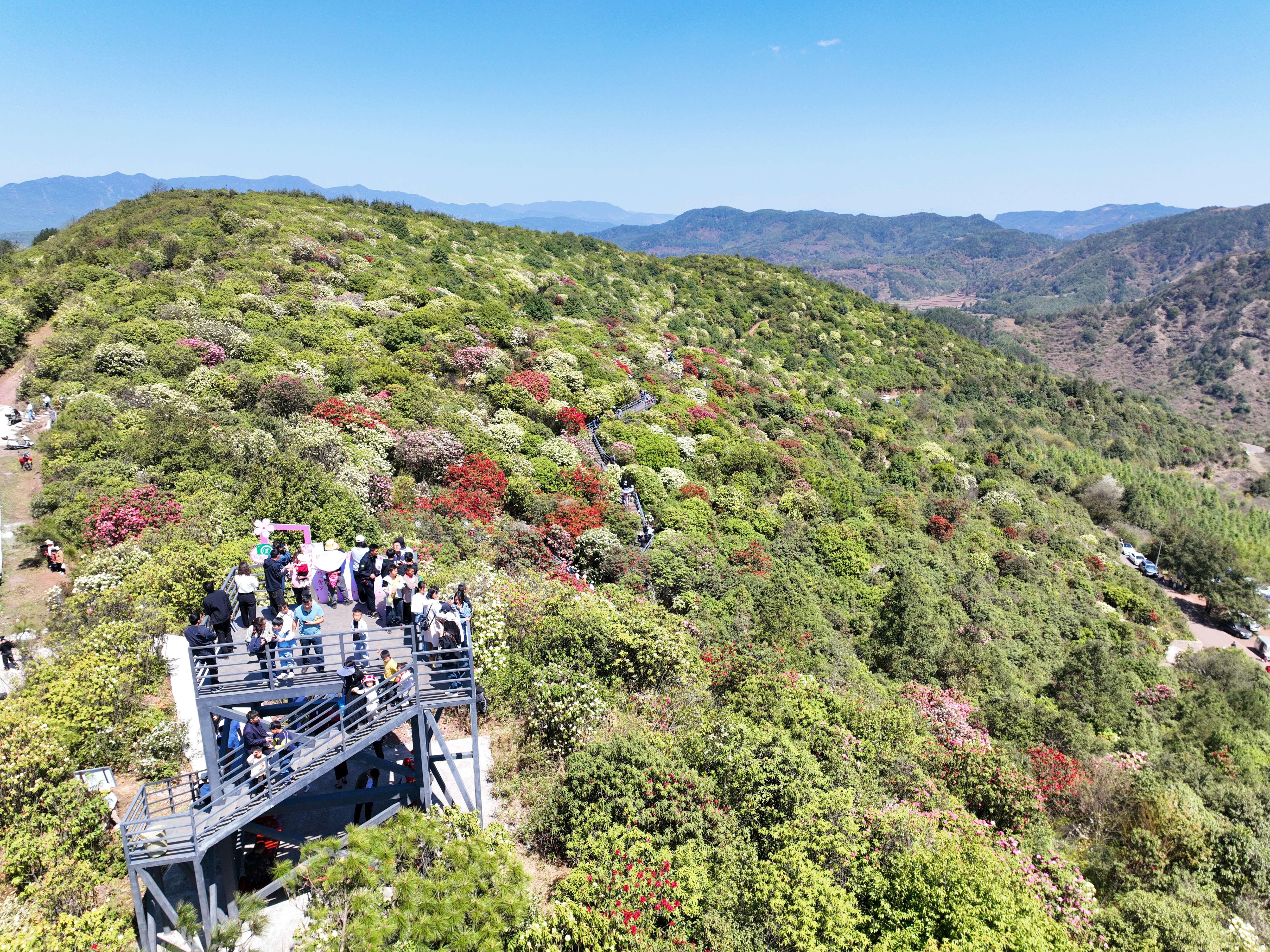 聚力曲靖“五张名片”丨叮！您有一封来自“世界最大的自然天成花园”的邀请函