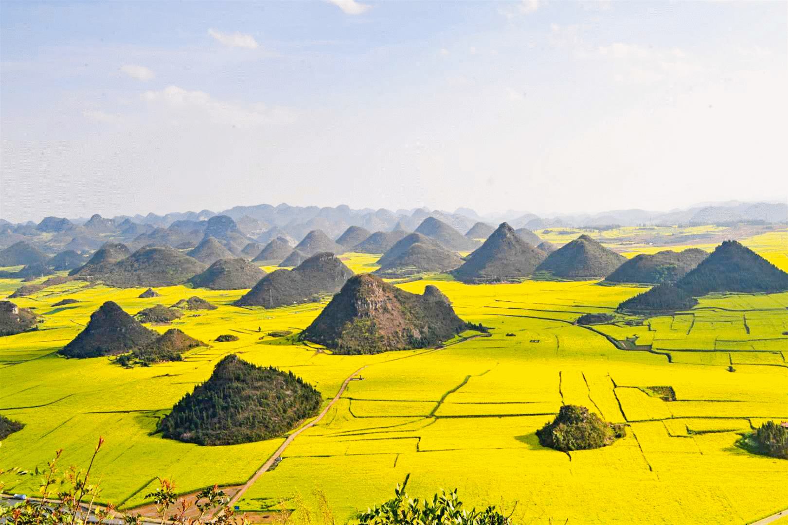 聚力曲靖“五张名片”丨叮！您有一封来自“世界最大的自然天成花园”的邀请函