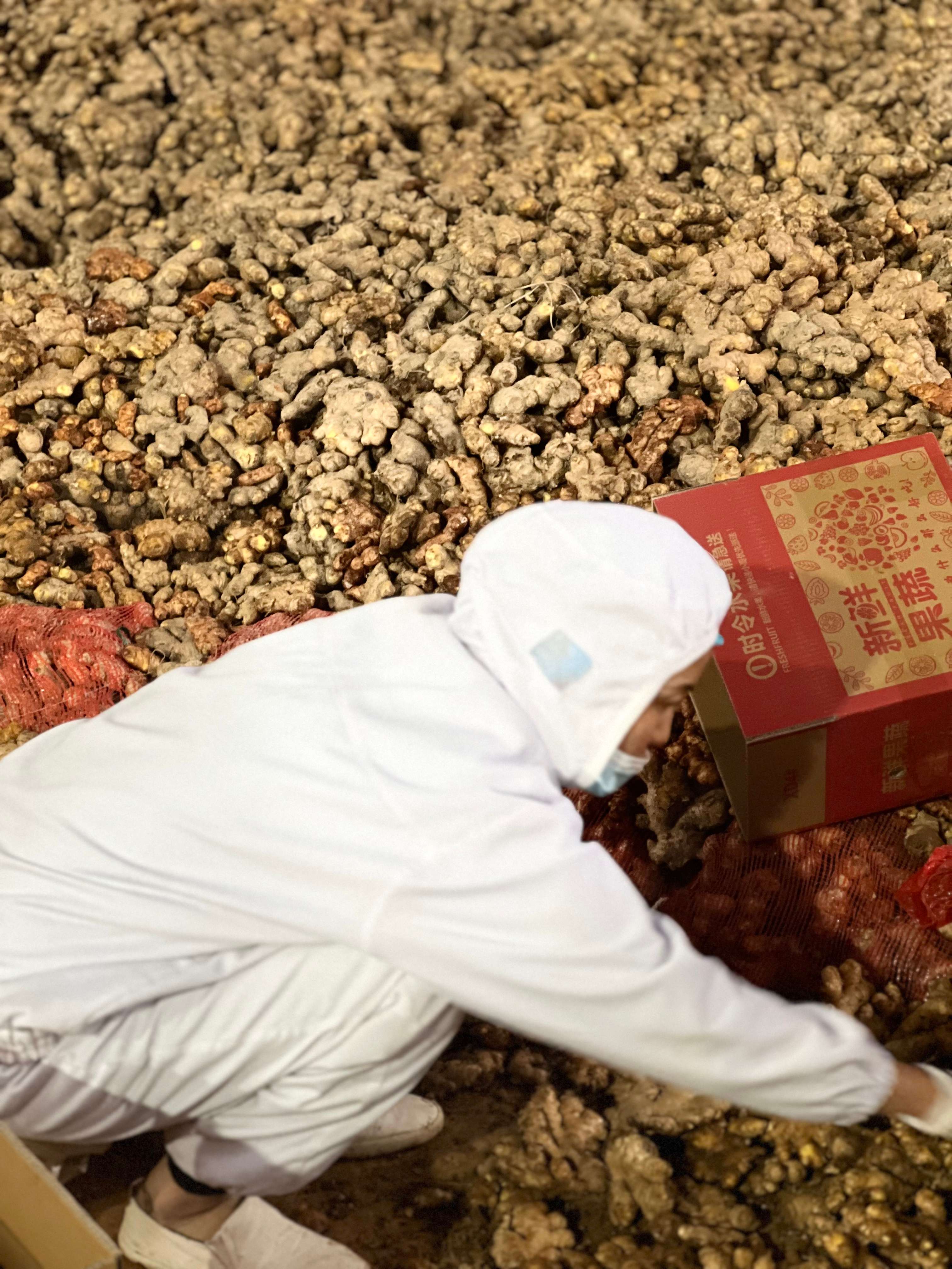 聚力曲靖“五张名片” | 打造“曲系”农业品牌 让高原特色农业更特更优