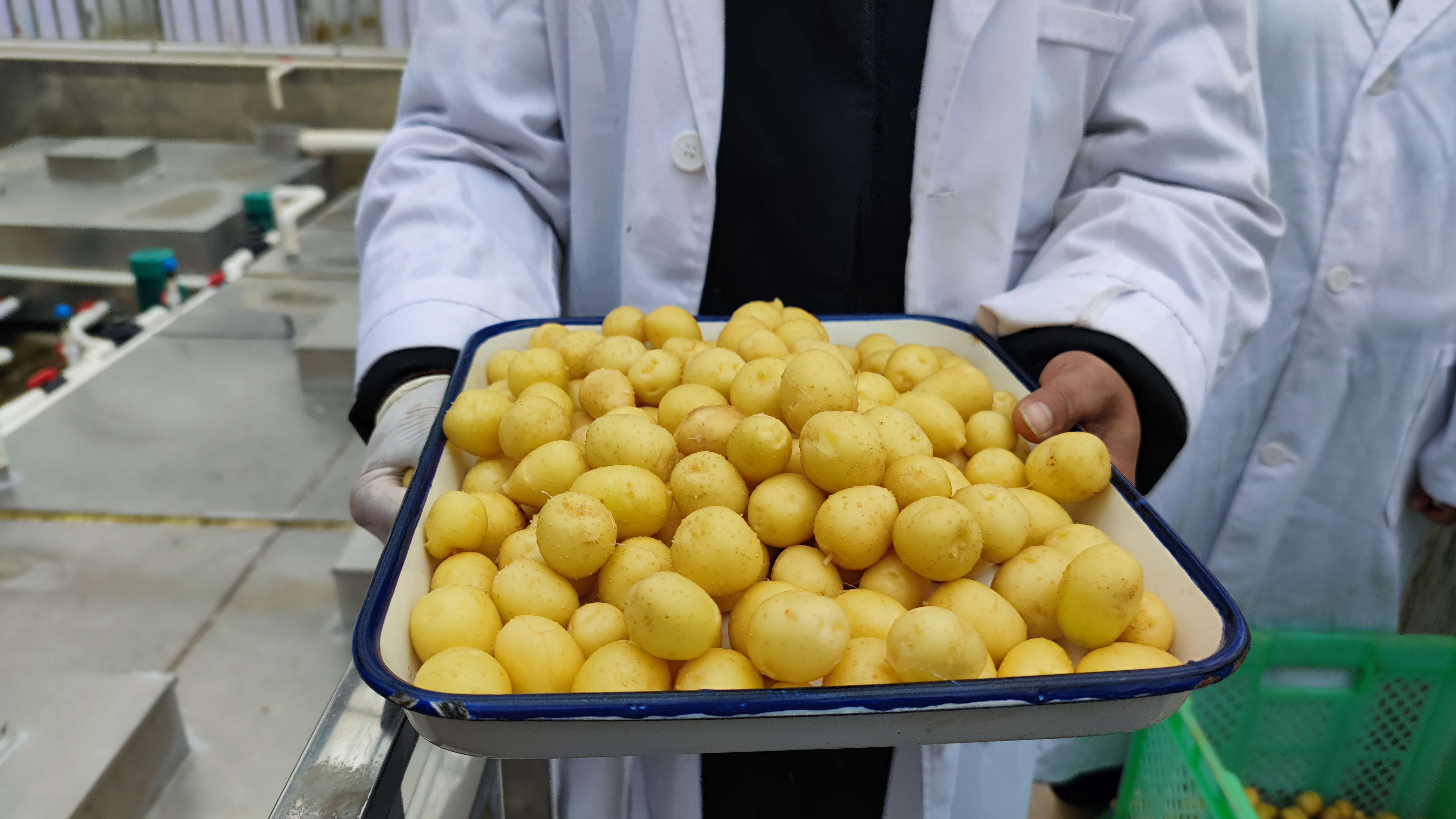 聚力曲靖“五张名片” | 打造“曲系”农业品牌 让高原特色农业更特更优