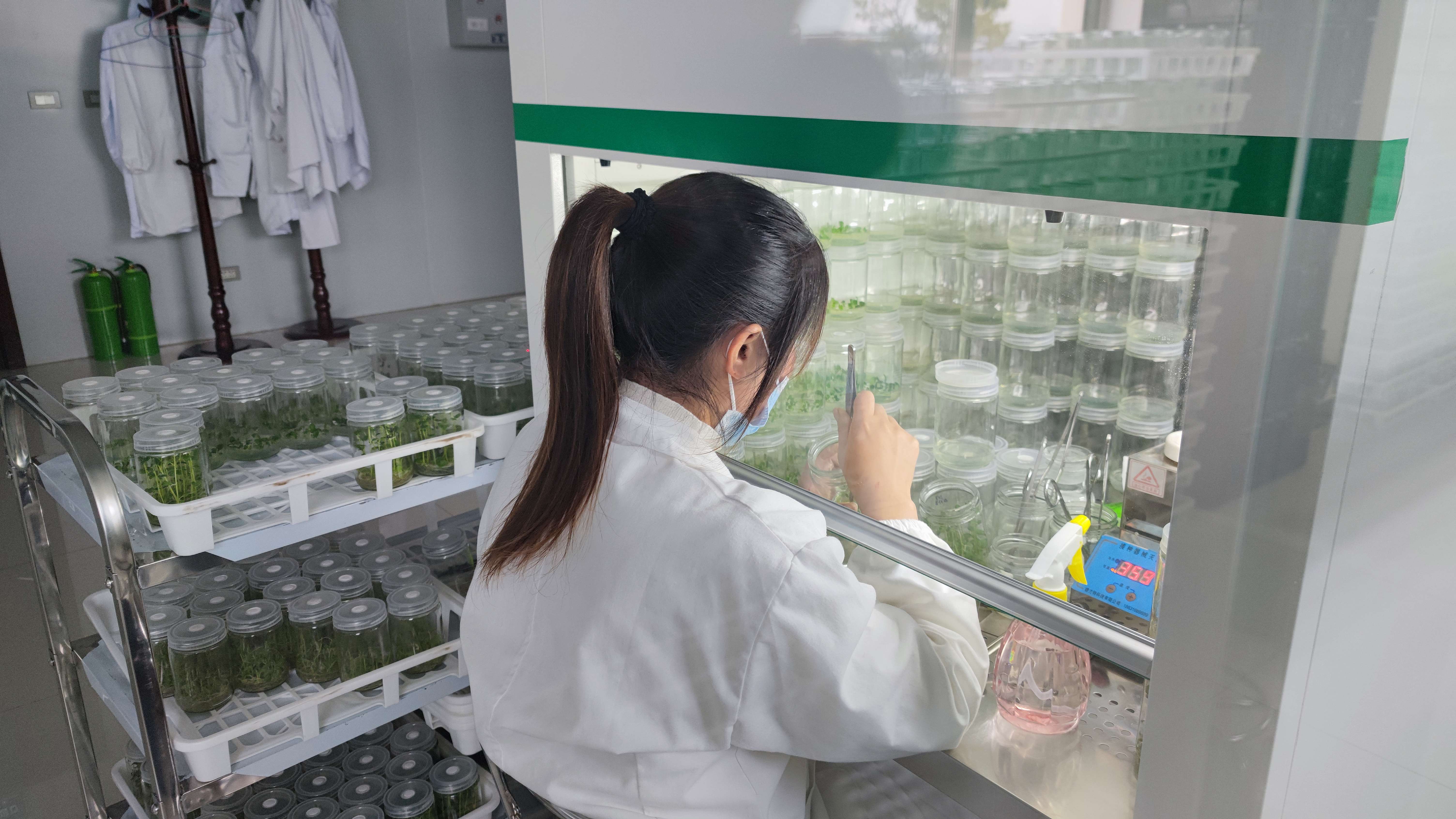 聚力曲靖“五张名片” | 打造“曲系”农业品牌 让高原特色农业更特更优