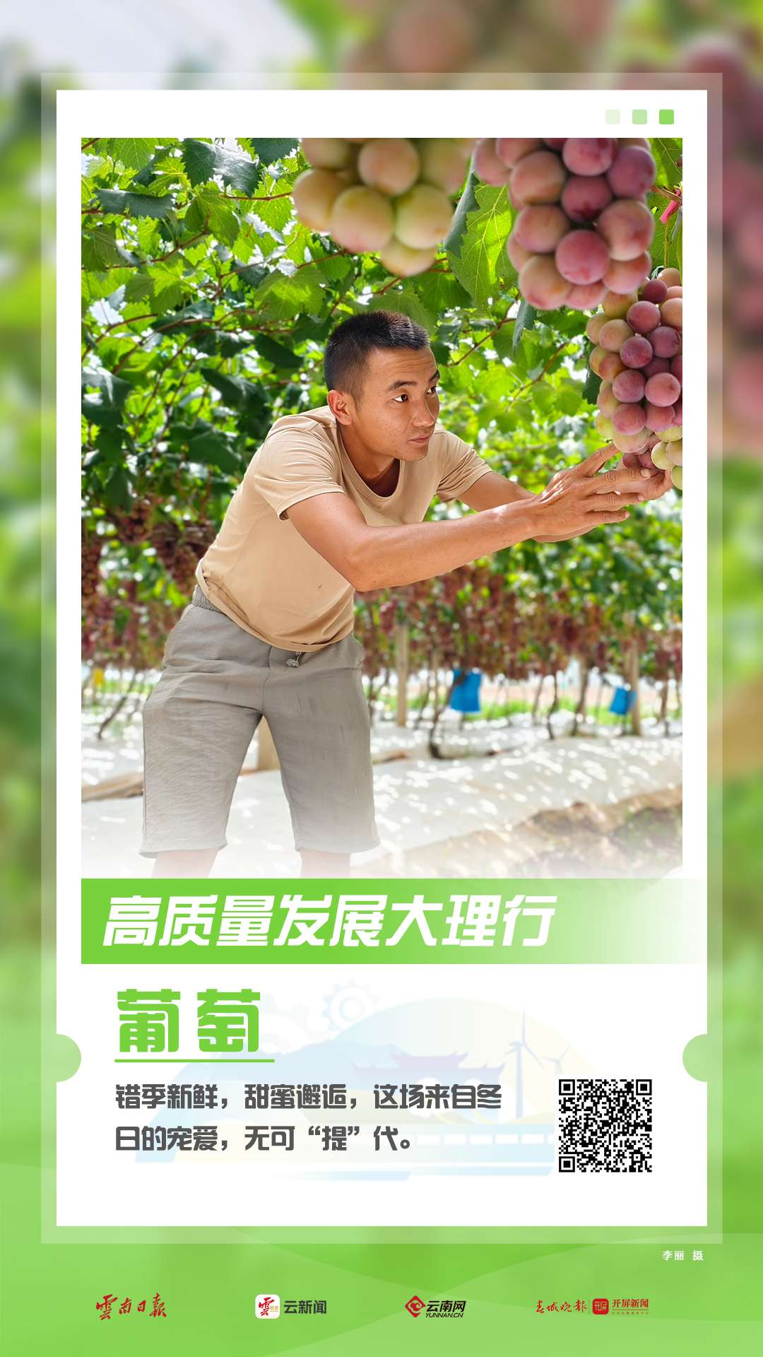 【海报】高质量发展看大理→