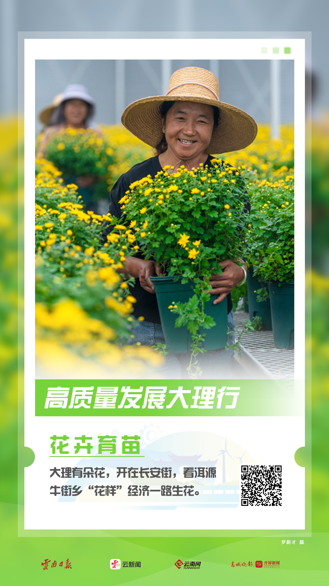 【海报】高质量发展看大理→