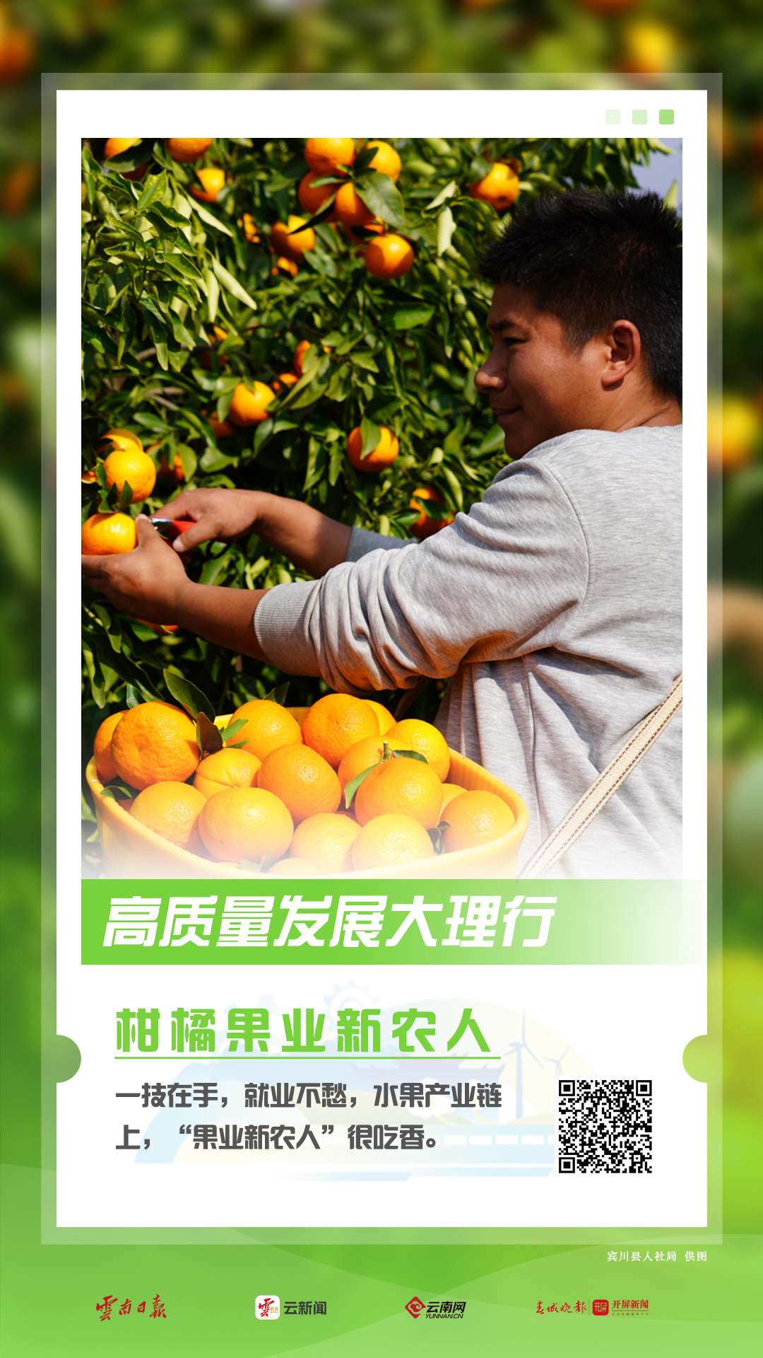 【海报】高质量发展看大理→