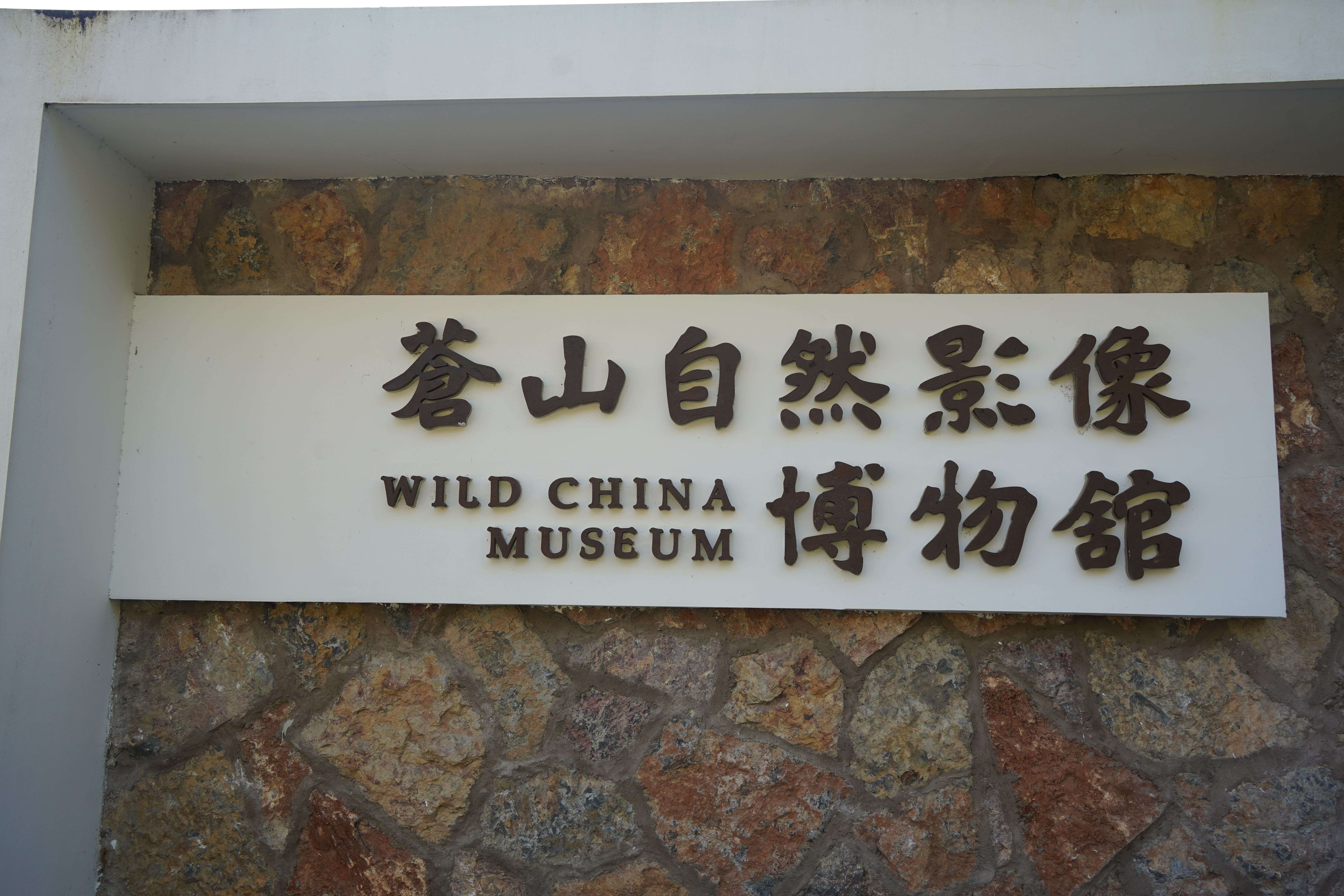 博物馆门口马雯 摄 (80).jpg