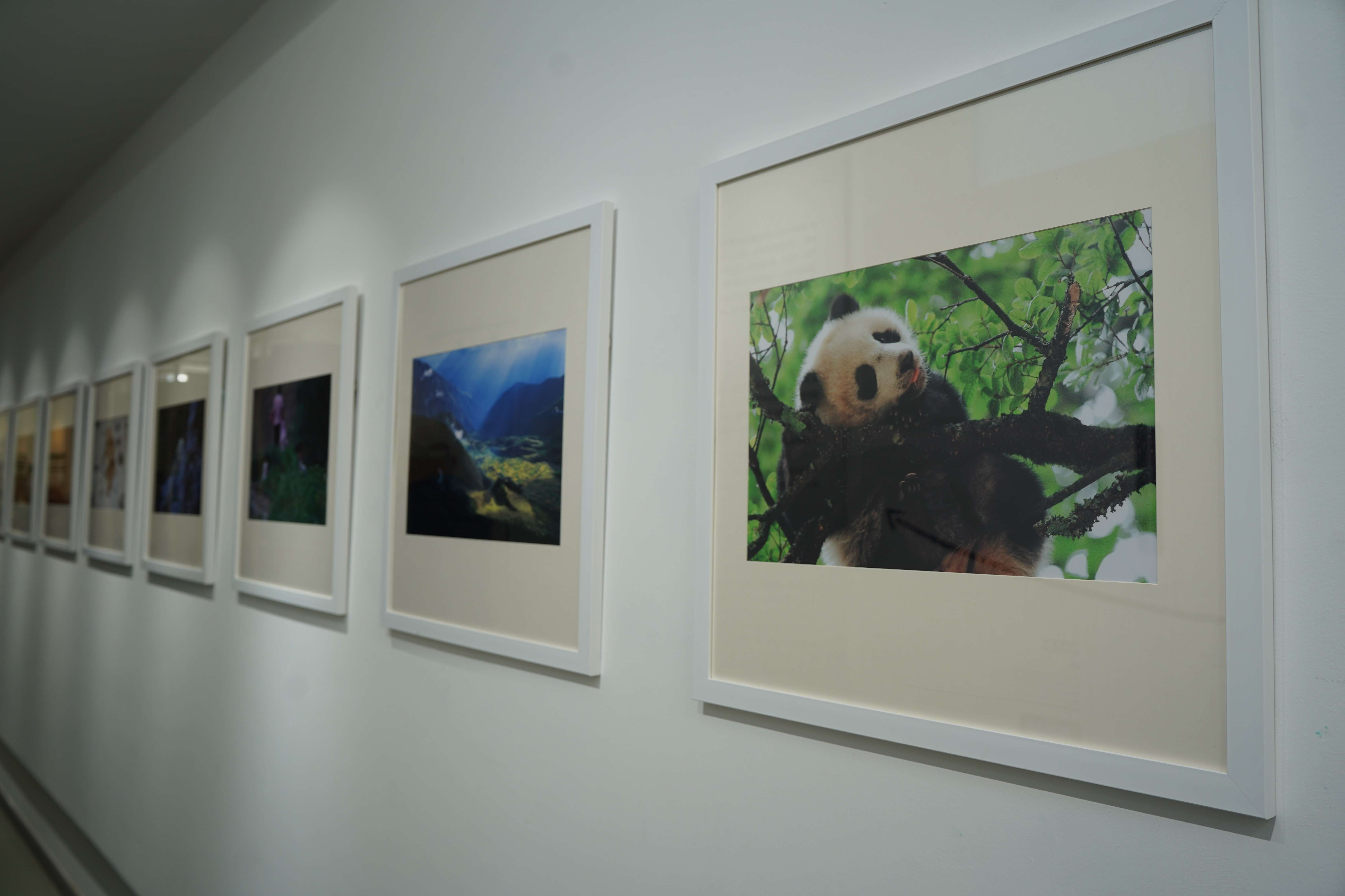 展出的照片-马雯 摄- (2).jpg