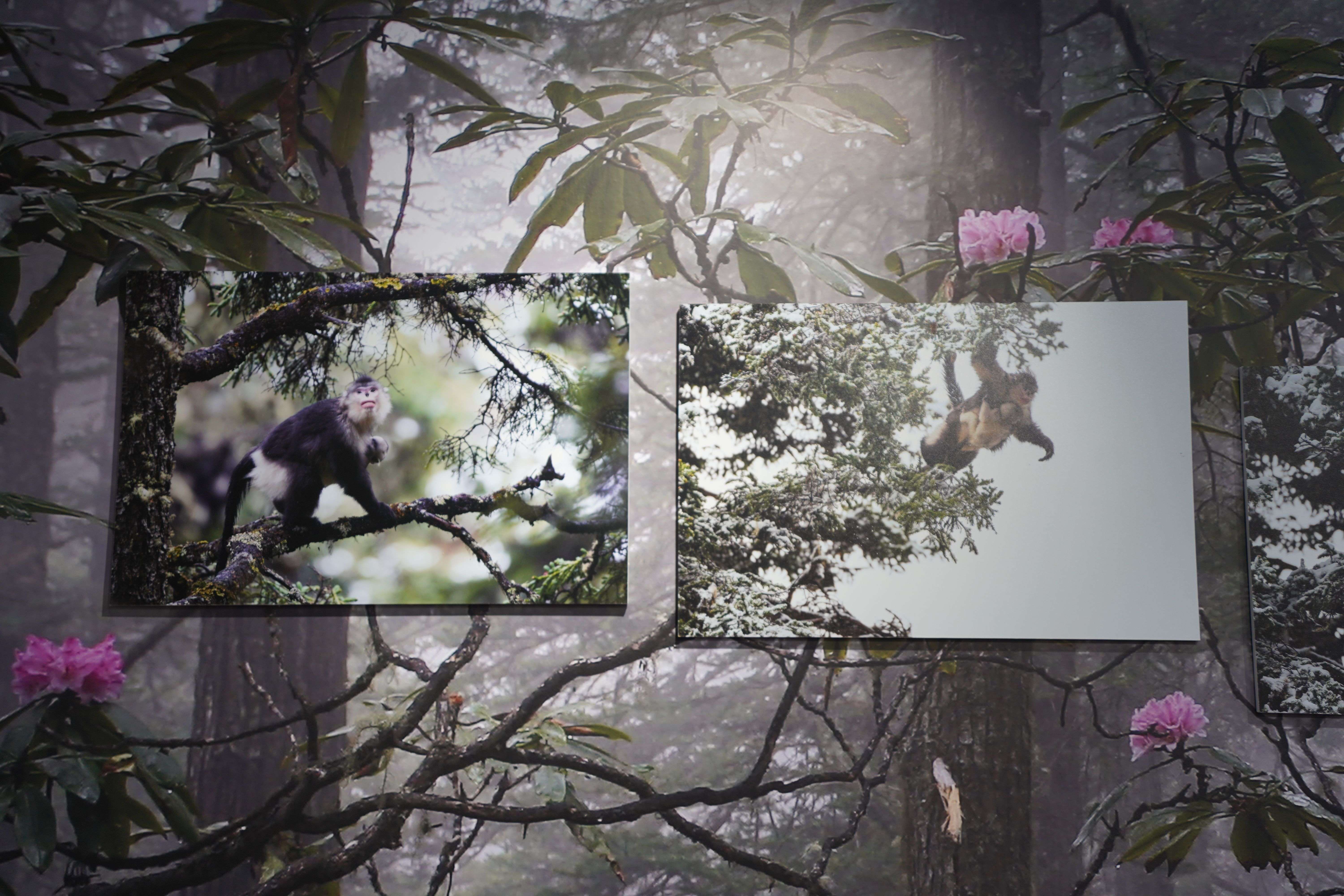 展出的照片-马雯 摄- (9).jpg