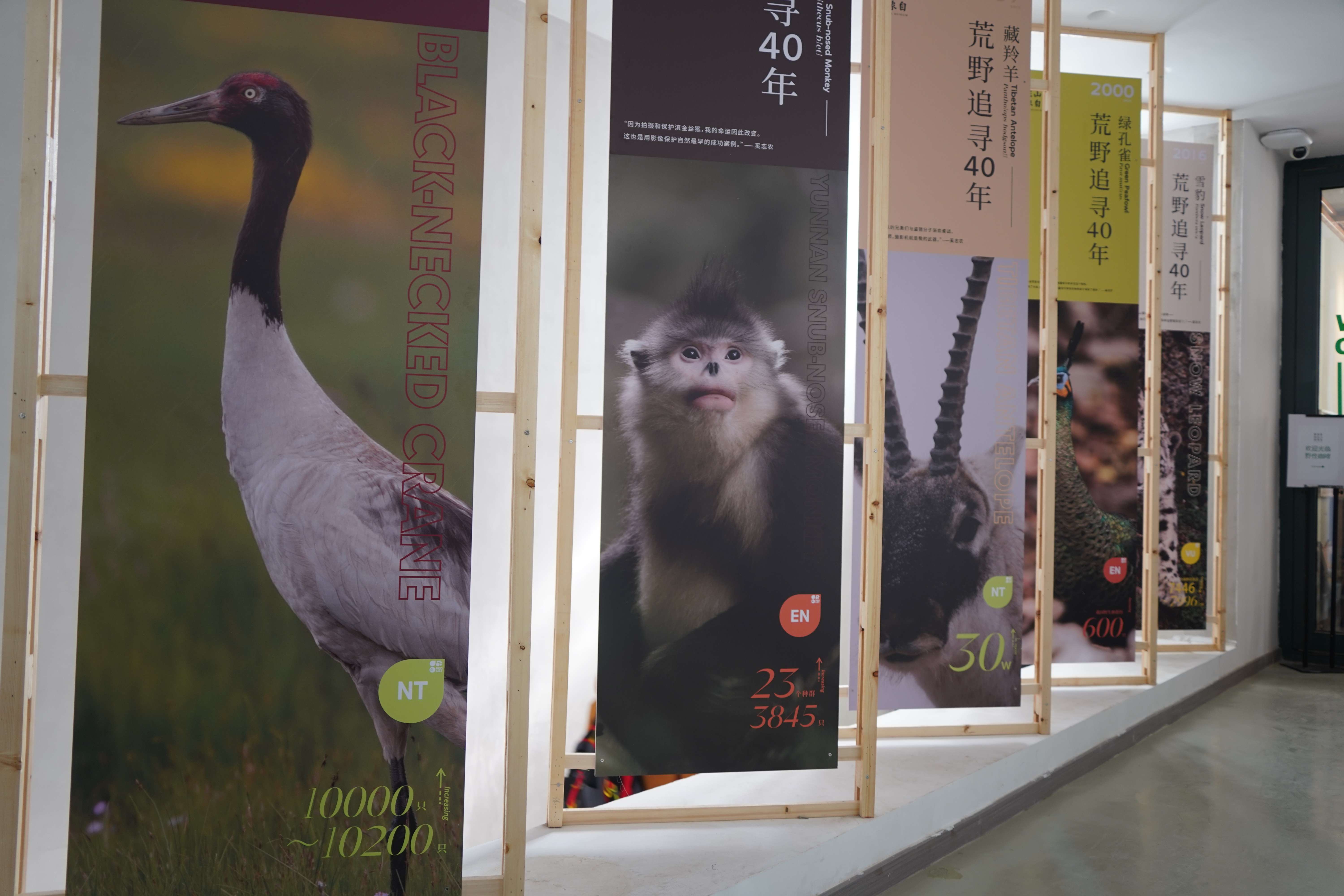 展出的照片-马雯 摄- (5).jpg