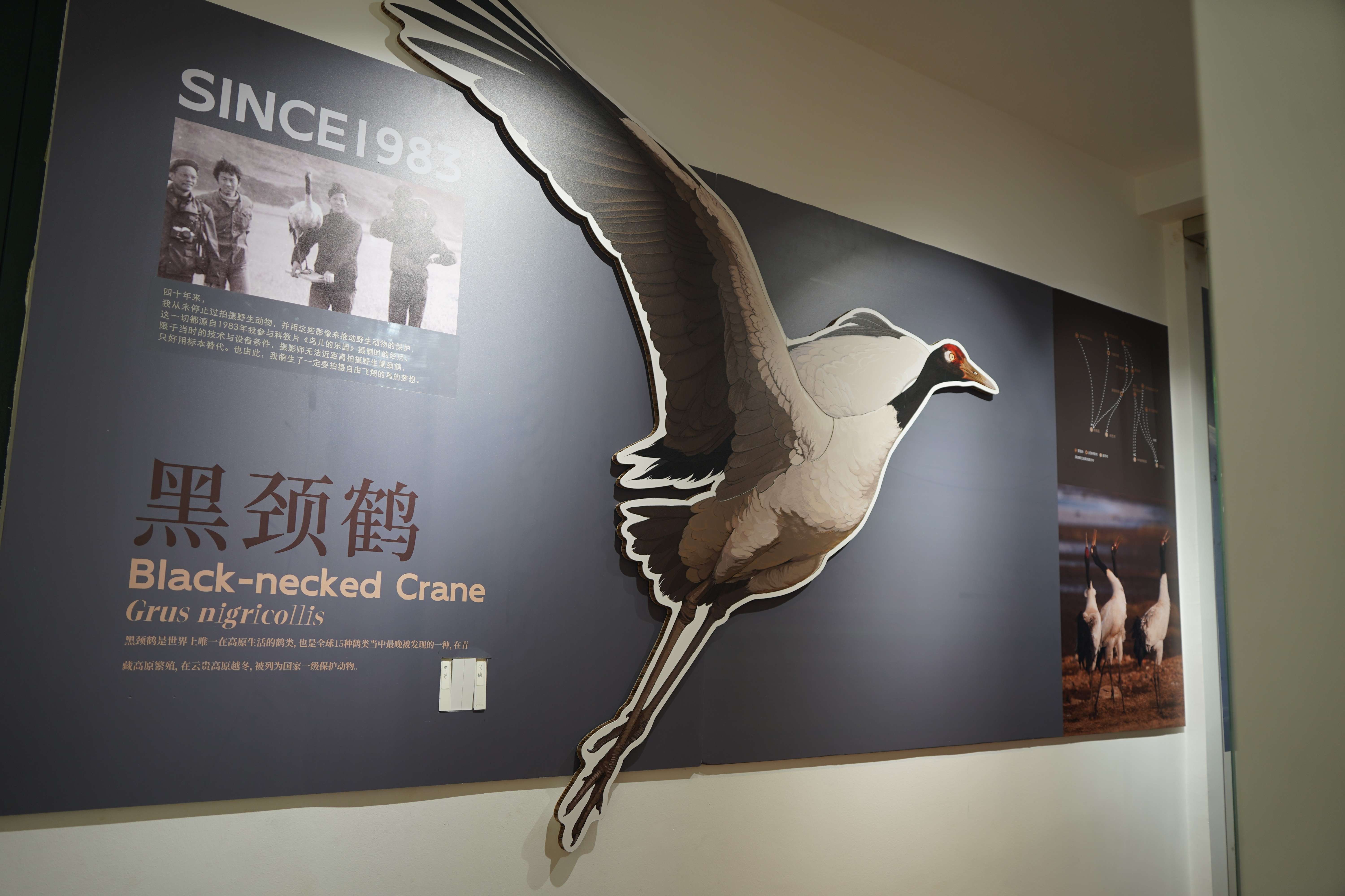 展出的照片-马雯 摄- (7).jpg