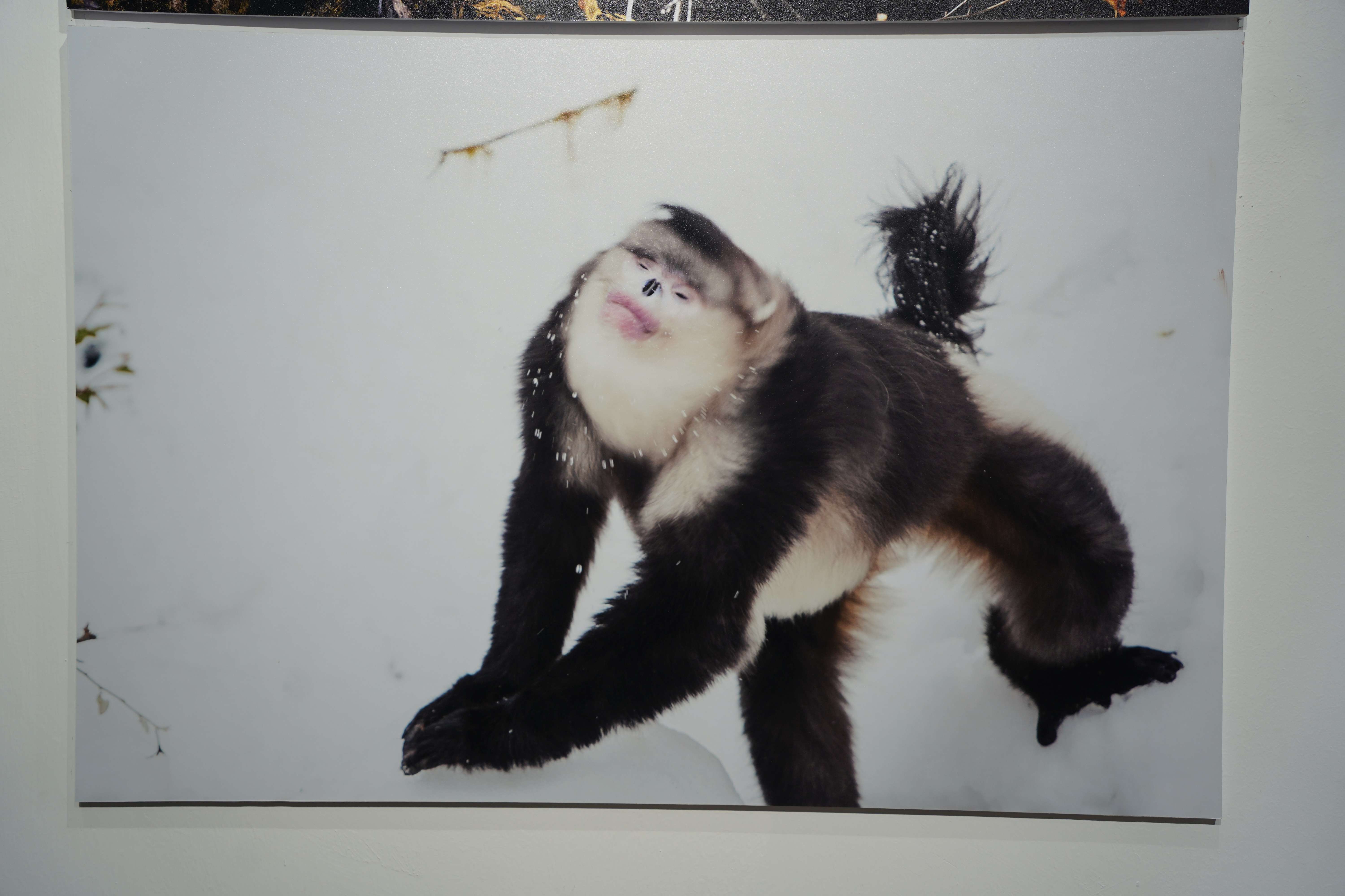 展出的照片-马雯 摄- (8).jpg