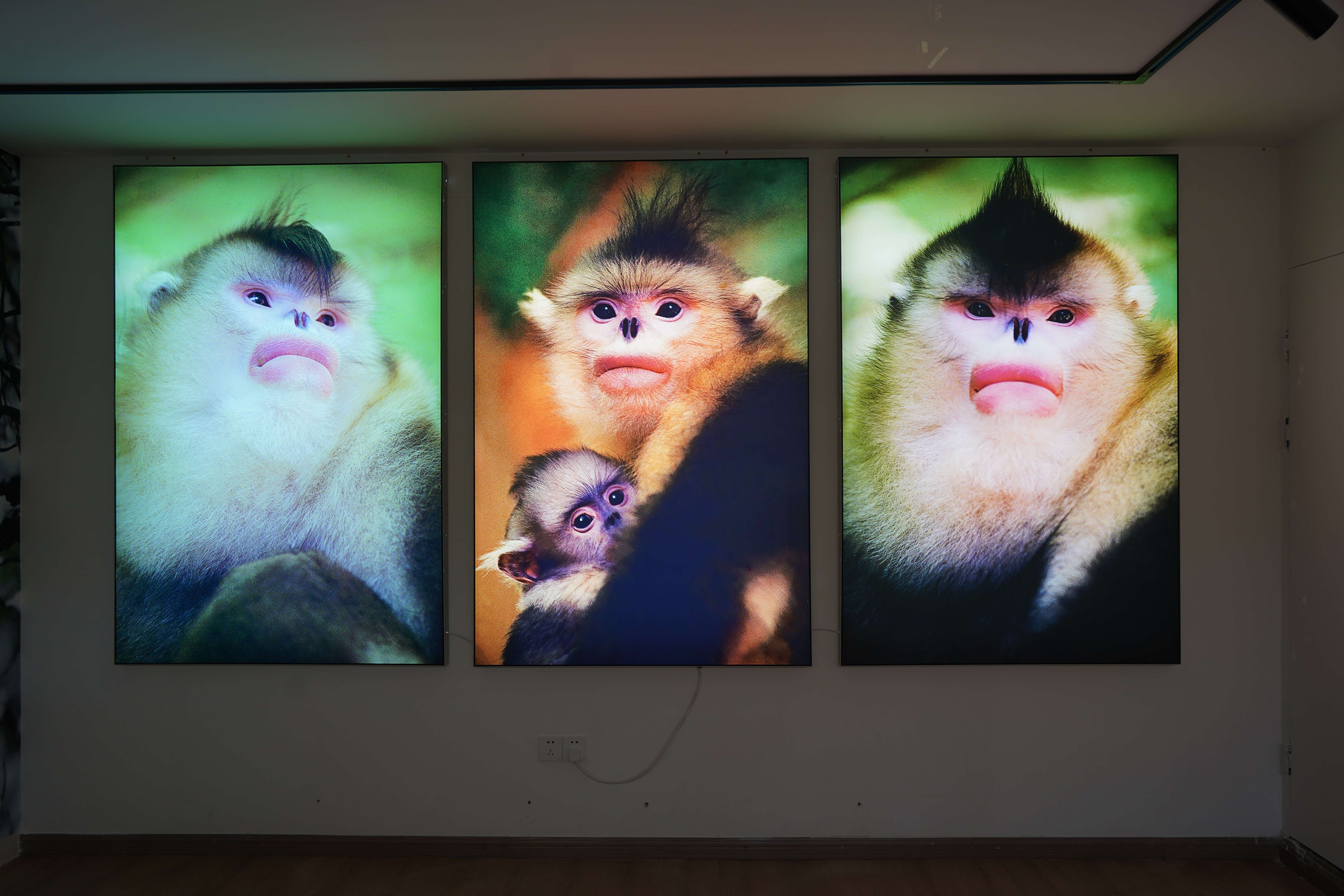 展出的照片-马雯 摄- (12).jpg