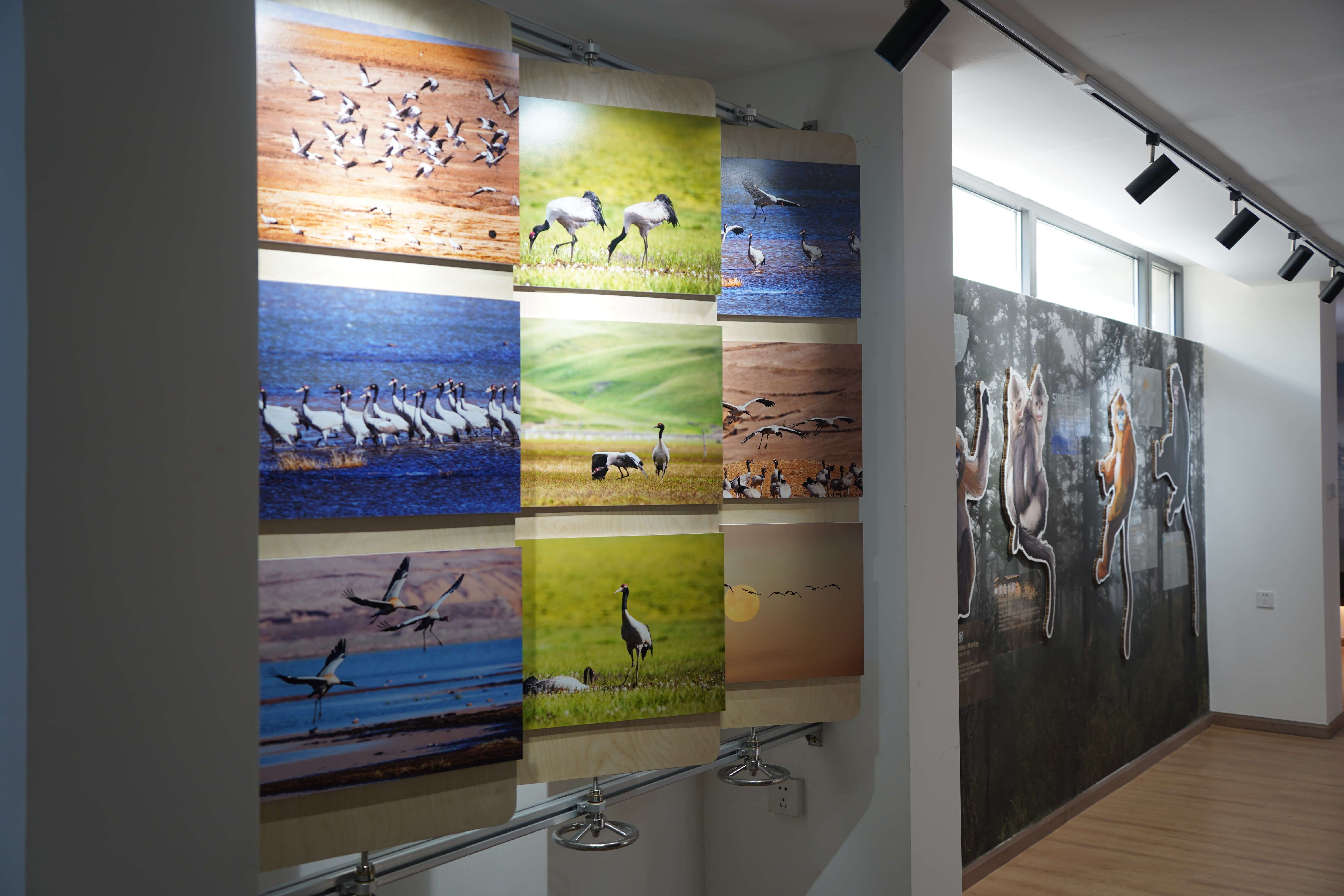 展出的照片-马雯 摄- (10).jpg