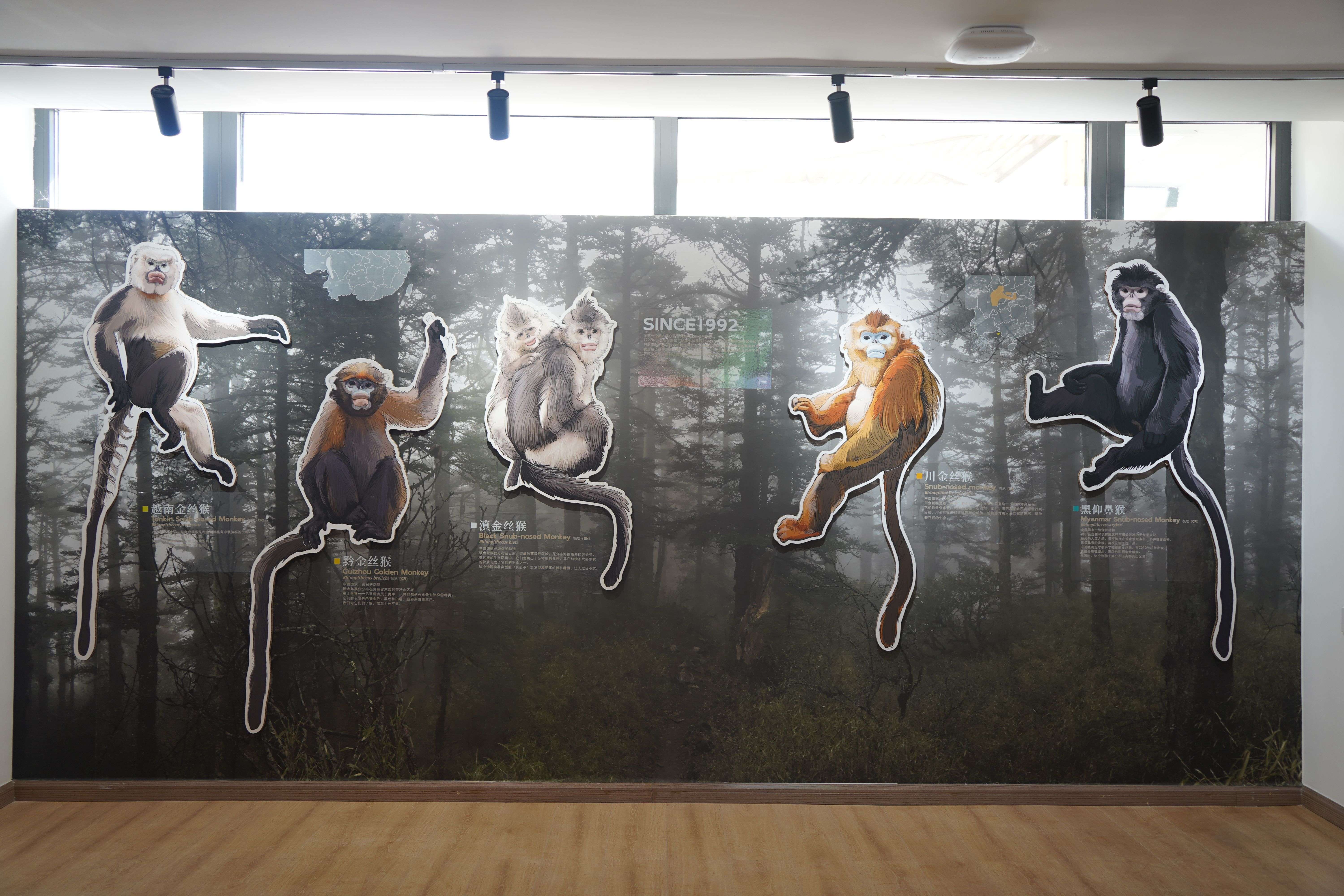 展出的照片-马雯 摄- (13).jpg