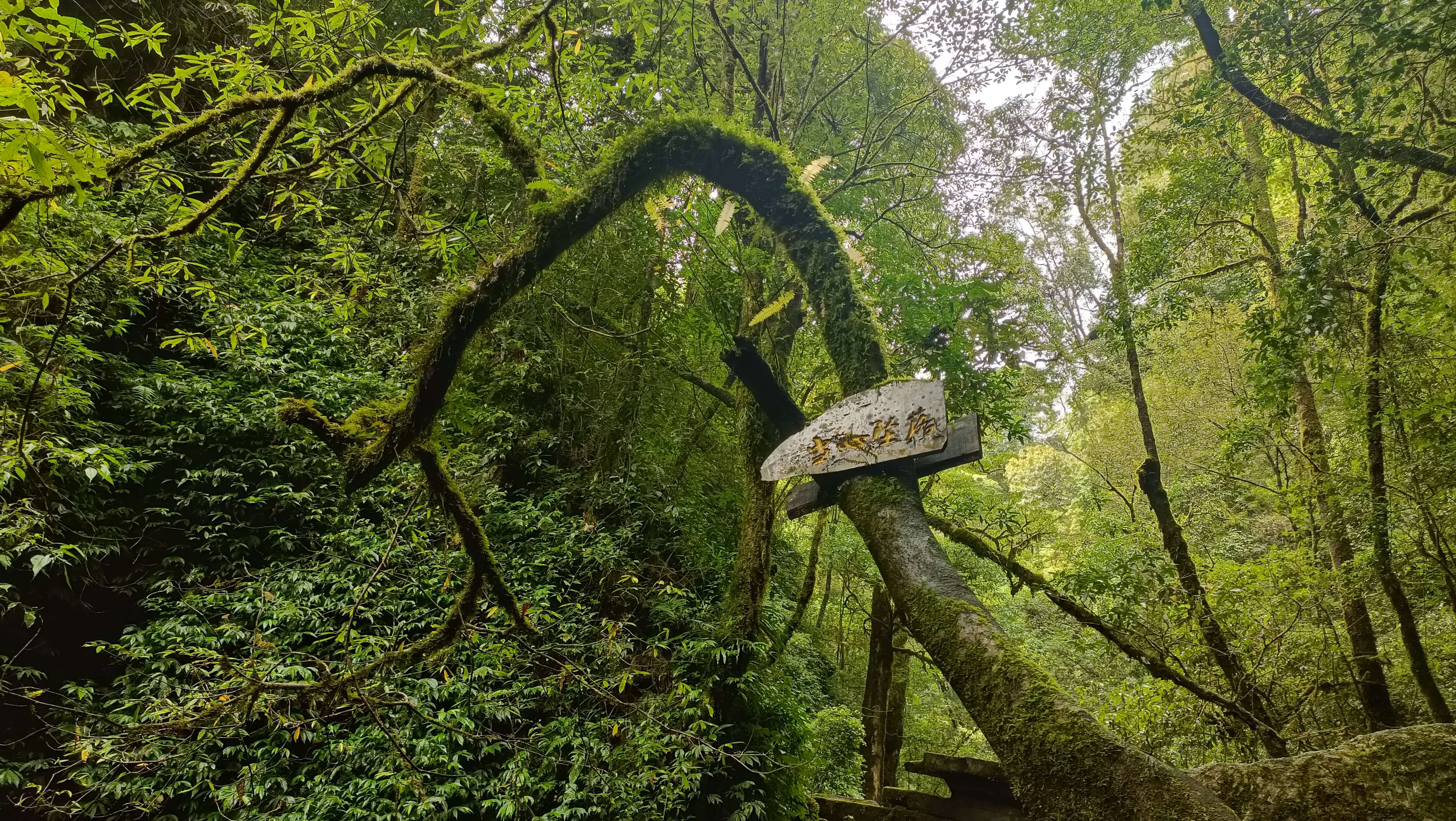 新平石门峡景区 (资料图) (2).jpg