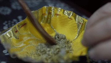 微视频|多彩芳华4.gif