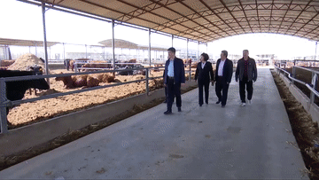 微视频|深情系乡村7.gif