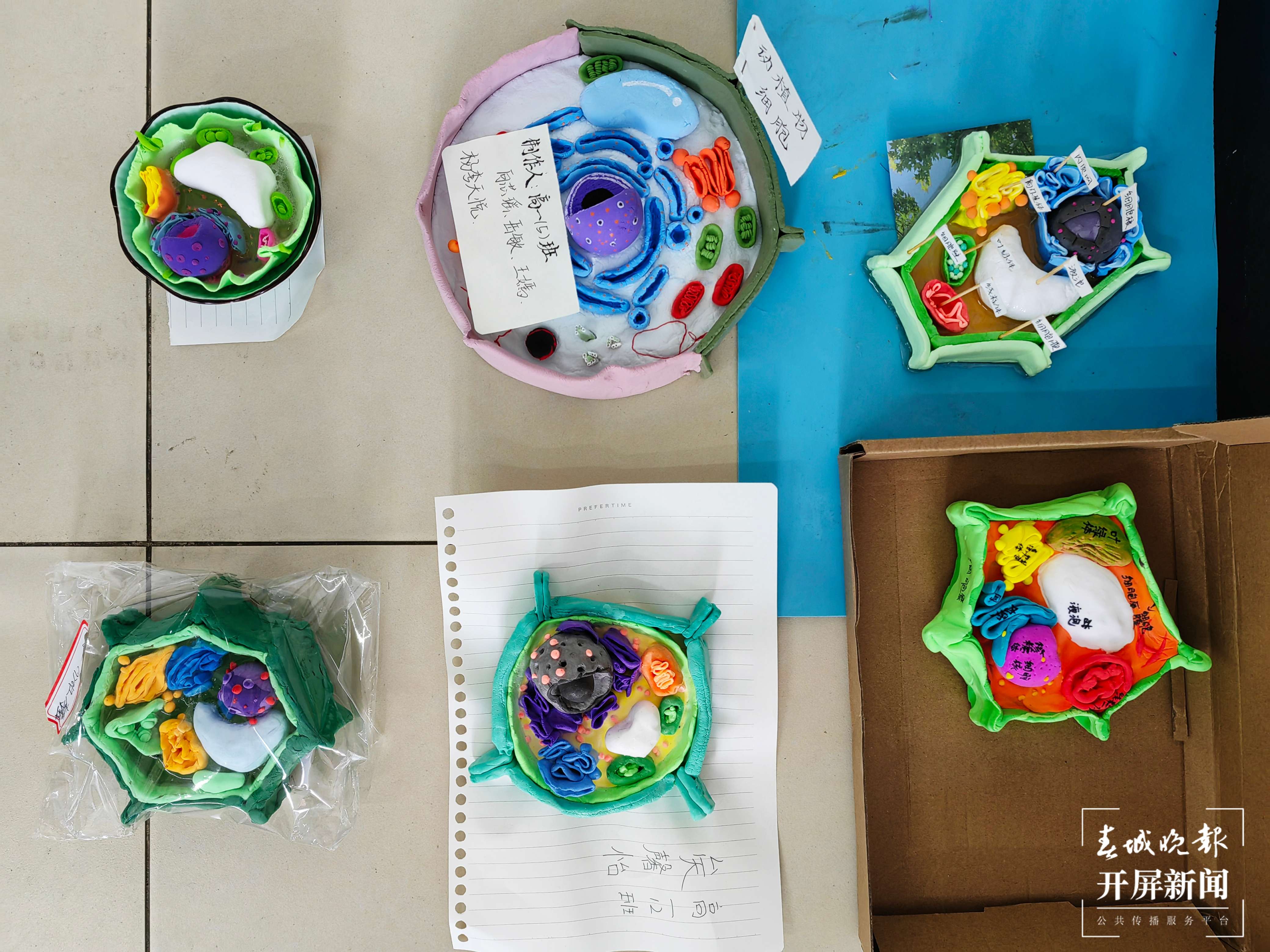 一等奖作品(部分).jpg