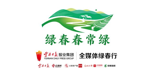绿春春常绿.jpg