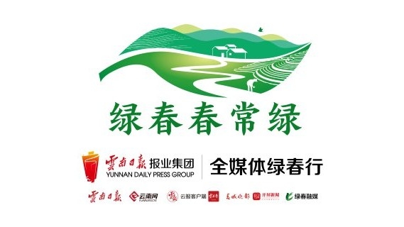 绿春春常绿_副本.jpg