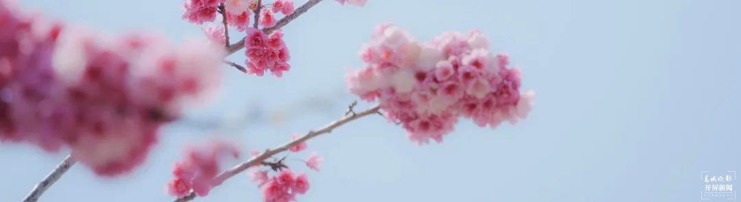 昆一中晋宁学校