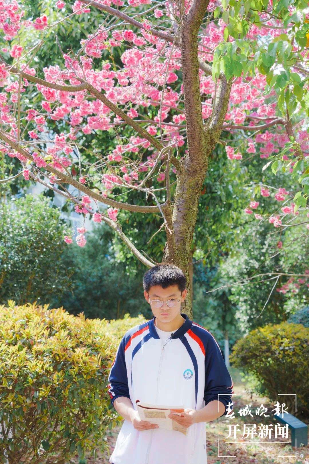 昆一中晋宁学校