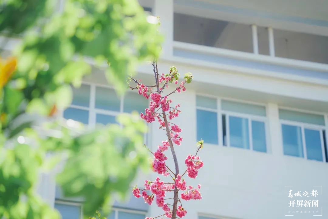 昆一中晋宁学校
