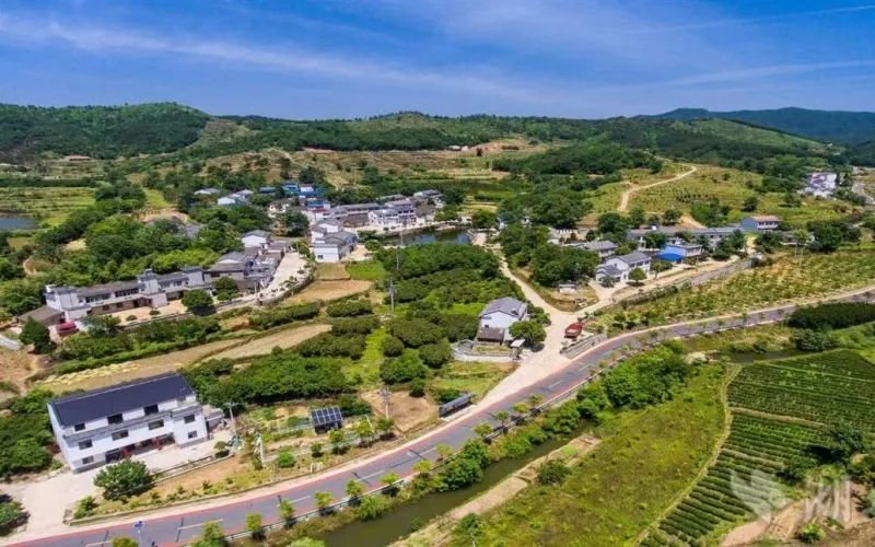 跟着总书记看中国|共同富裕的“金钥匙”