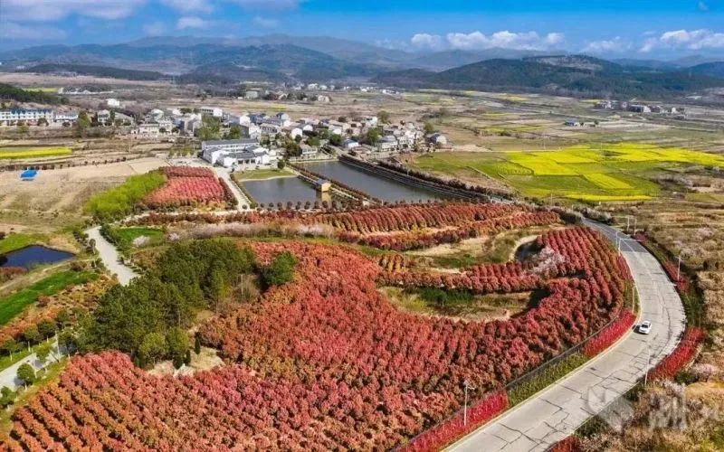 跟着总书记看中国|共同富裕的“金钥匙”