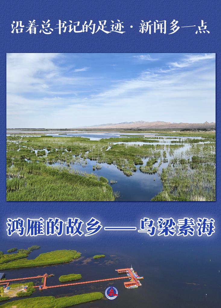 沿着总书记的足迹·新闻多一点|鸿雁的故乡——乌梁素海