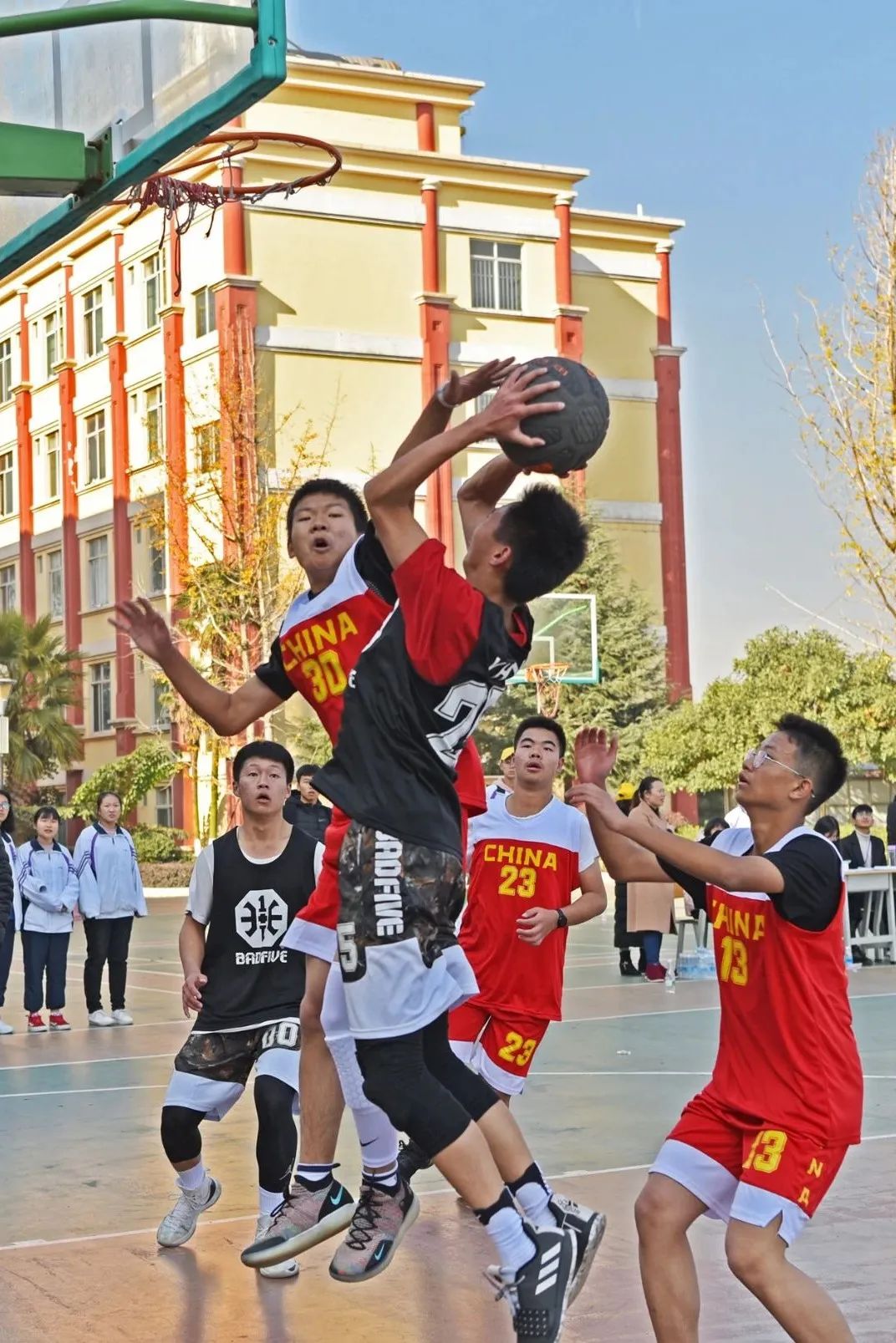 图片