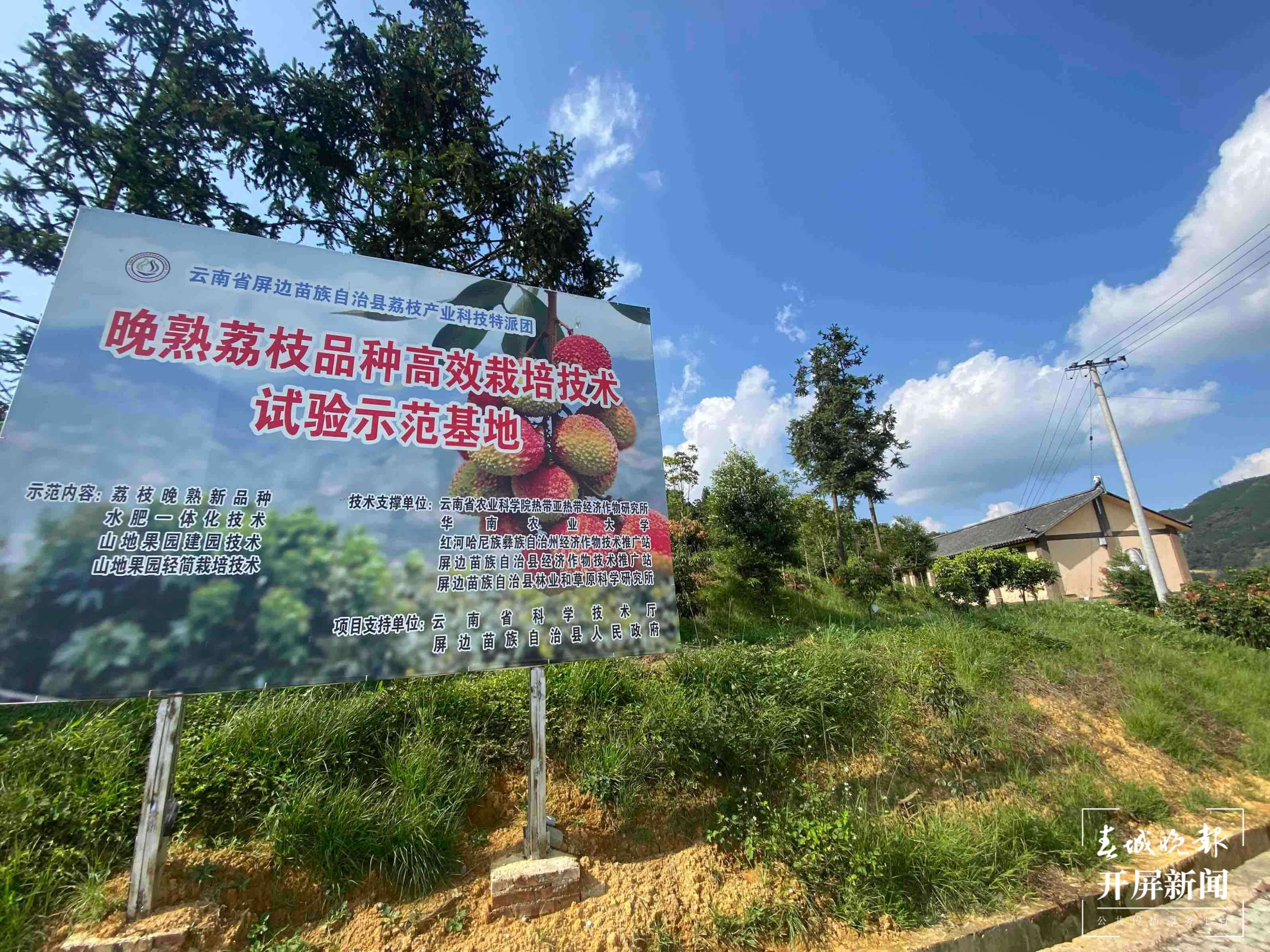 绿色产业美了山林 鼓了腰包1.jpg