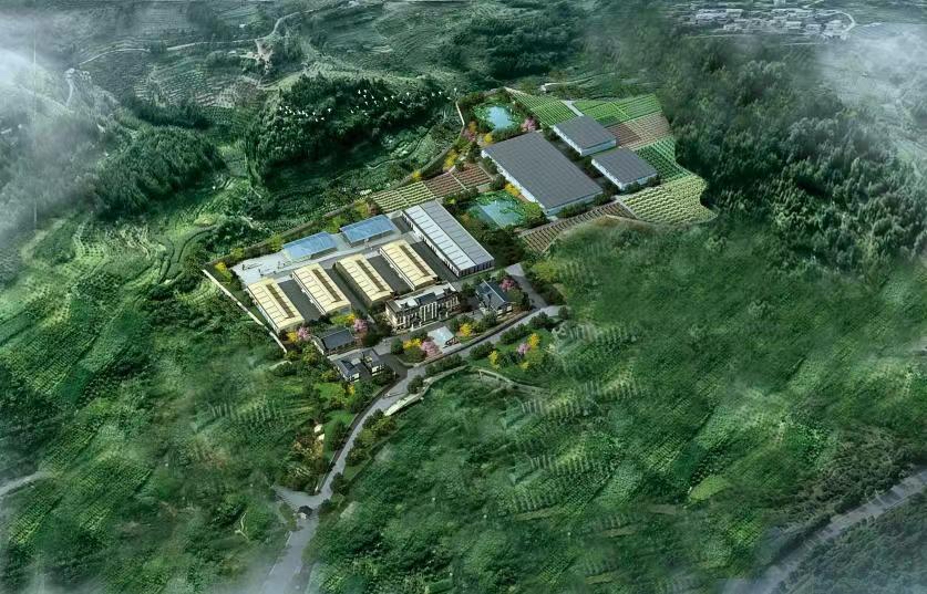 民族医药科技园初具雏形 医药产业发展后劲十足4.jpg