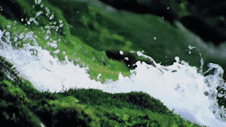 古韵悠悠展新风2.gif