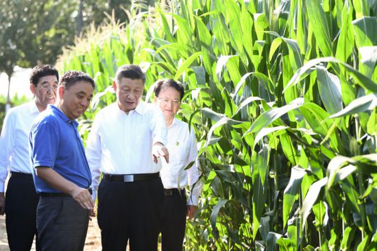 吉林黑土地上筑起中国大粮仓1.jpg