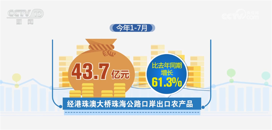 港珠澳大桥跨境物流商贸发展迅猛7.jpg