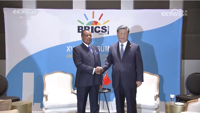 习近平会见刚果（布）总统.png