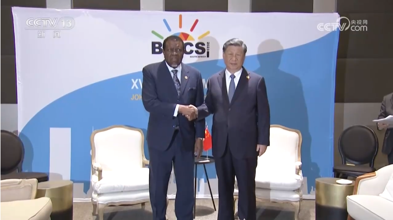 习近平会见纳米比亚总统.png