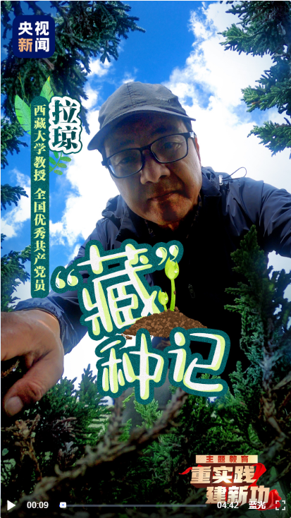 在青藏高原采集四千多万颗种子有多难？.png