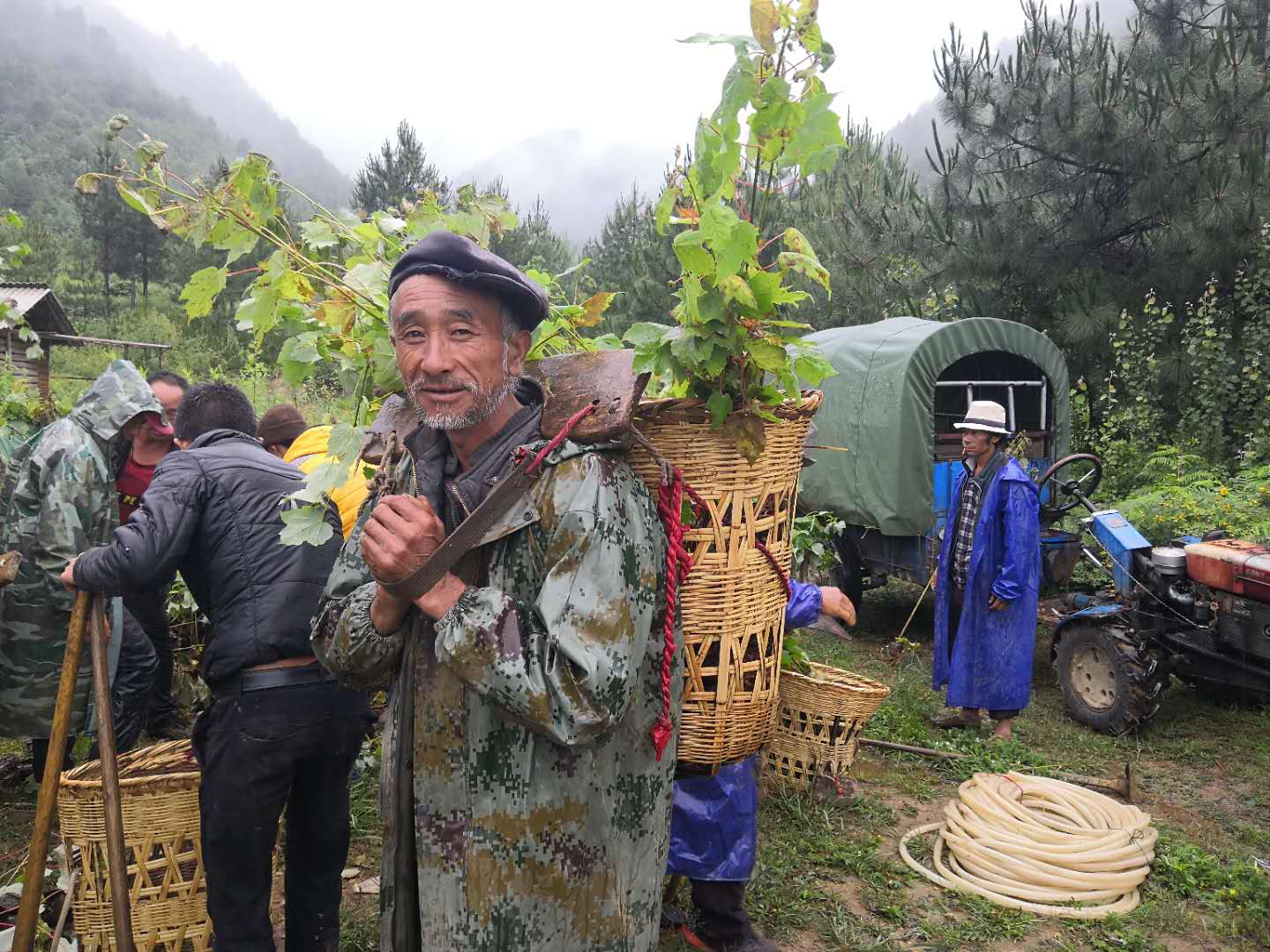 极小种群漾濞器种植 (2).jpg