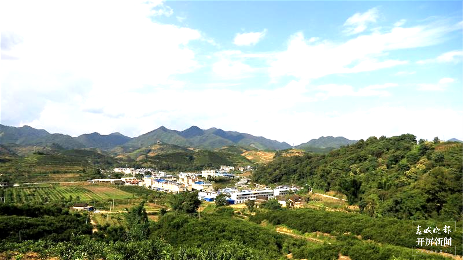 文山广南早熟柑橘抢“鲜”上市,最高每市斤可以卖2元左右