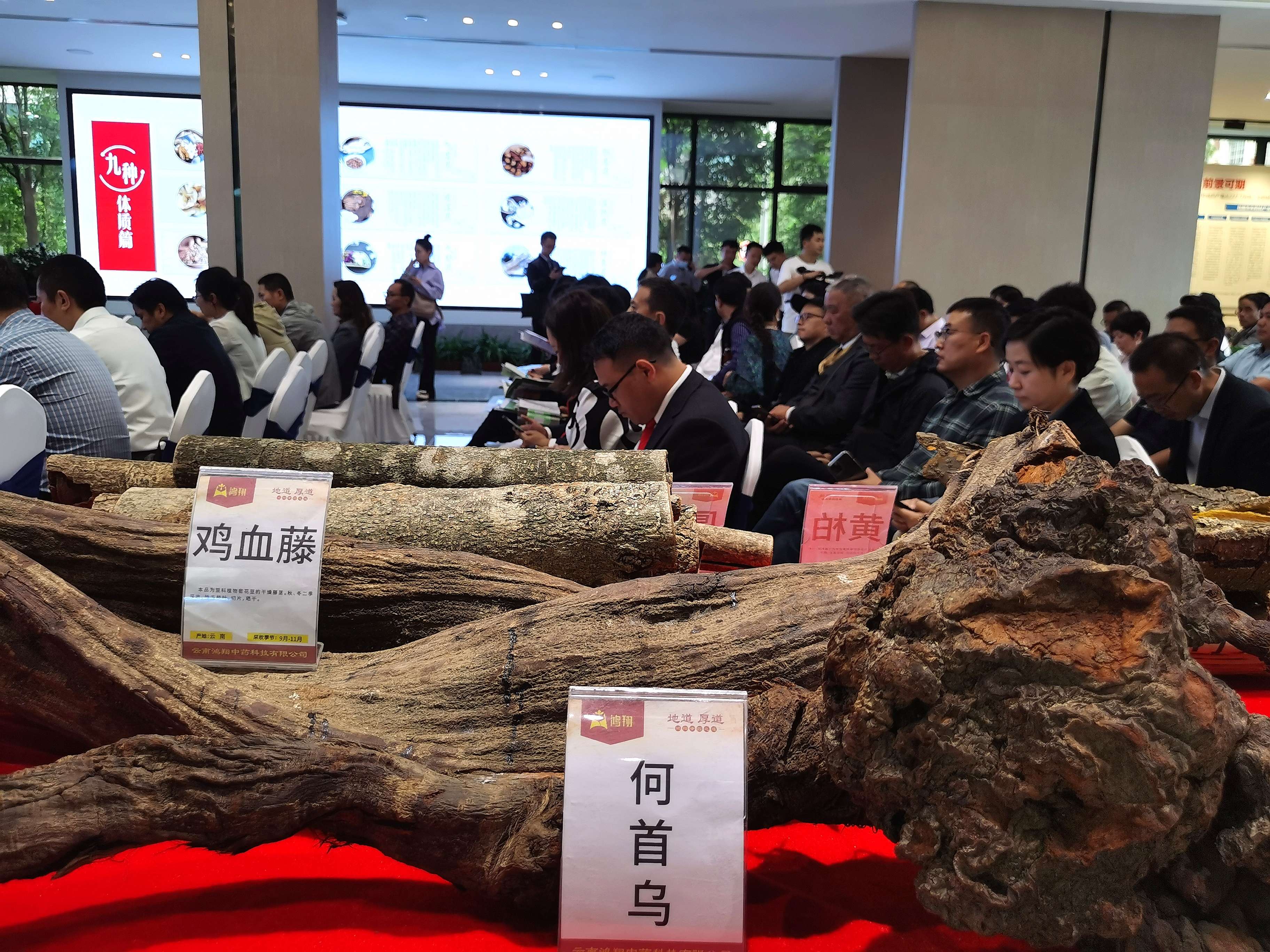 昆明中药材交易中心图9-2.jpg
