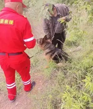 痛心！拿快递失联3个月，女孩遗体找到，警方排除他杀