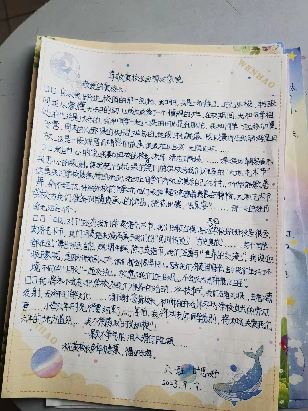 海贝6.jpg