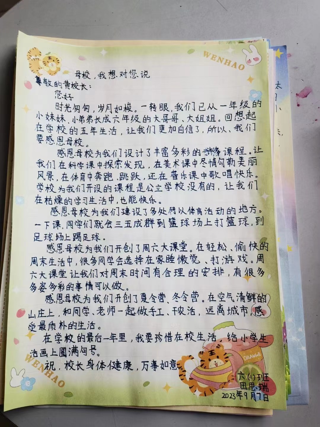 海贝7.jpg